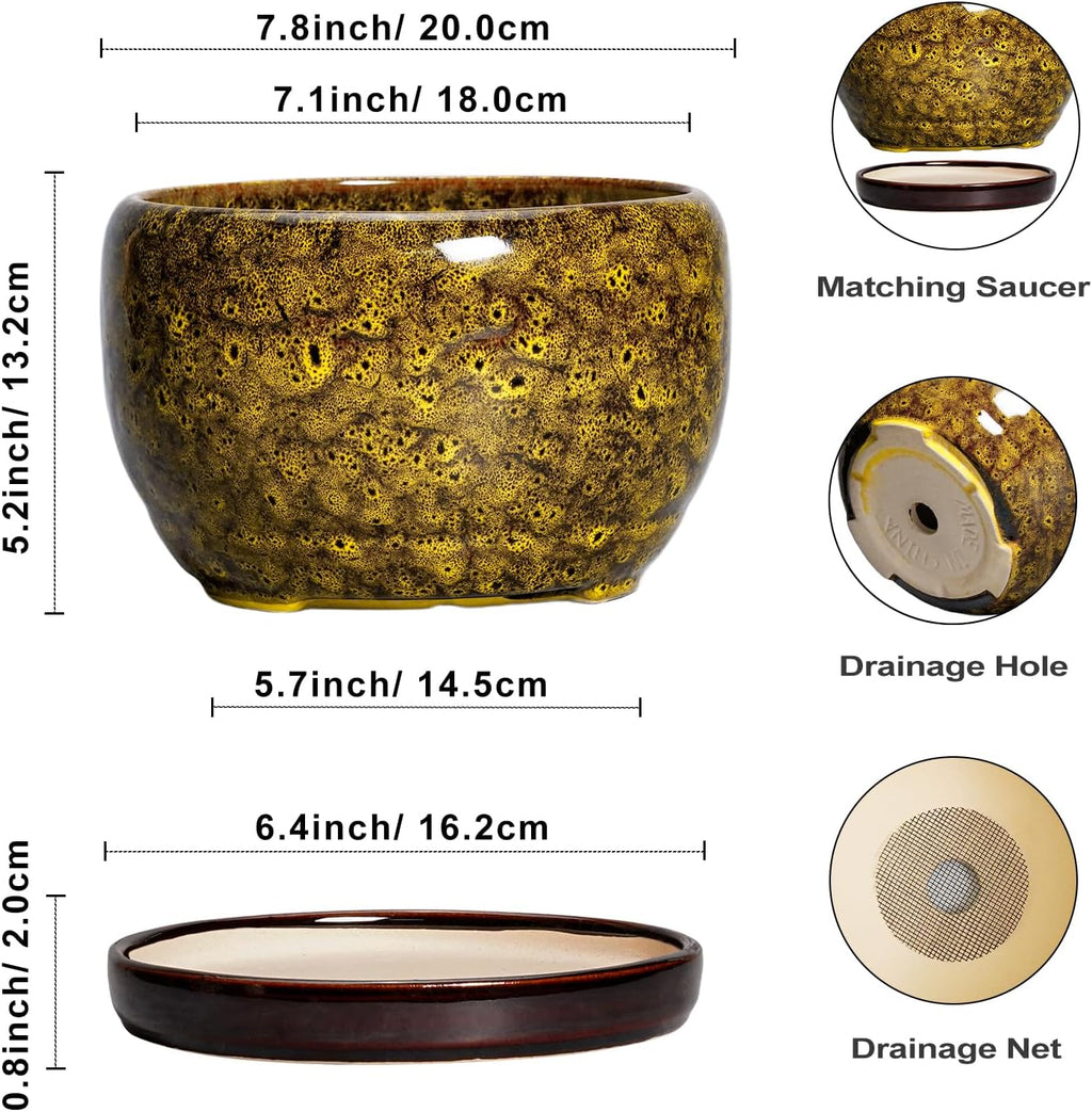 SQOWL Ceramic Flower Pots - 8 inch Ceramic Planter for Indoor Plants, Decorative Plant Pots with Drainage Hole and