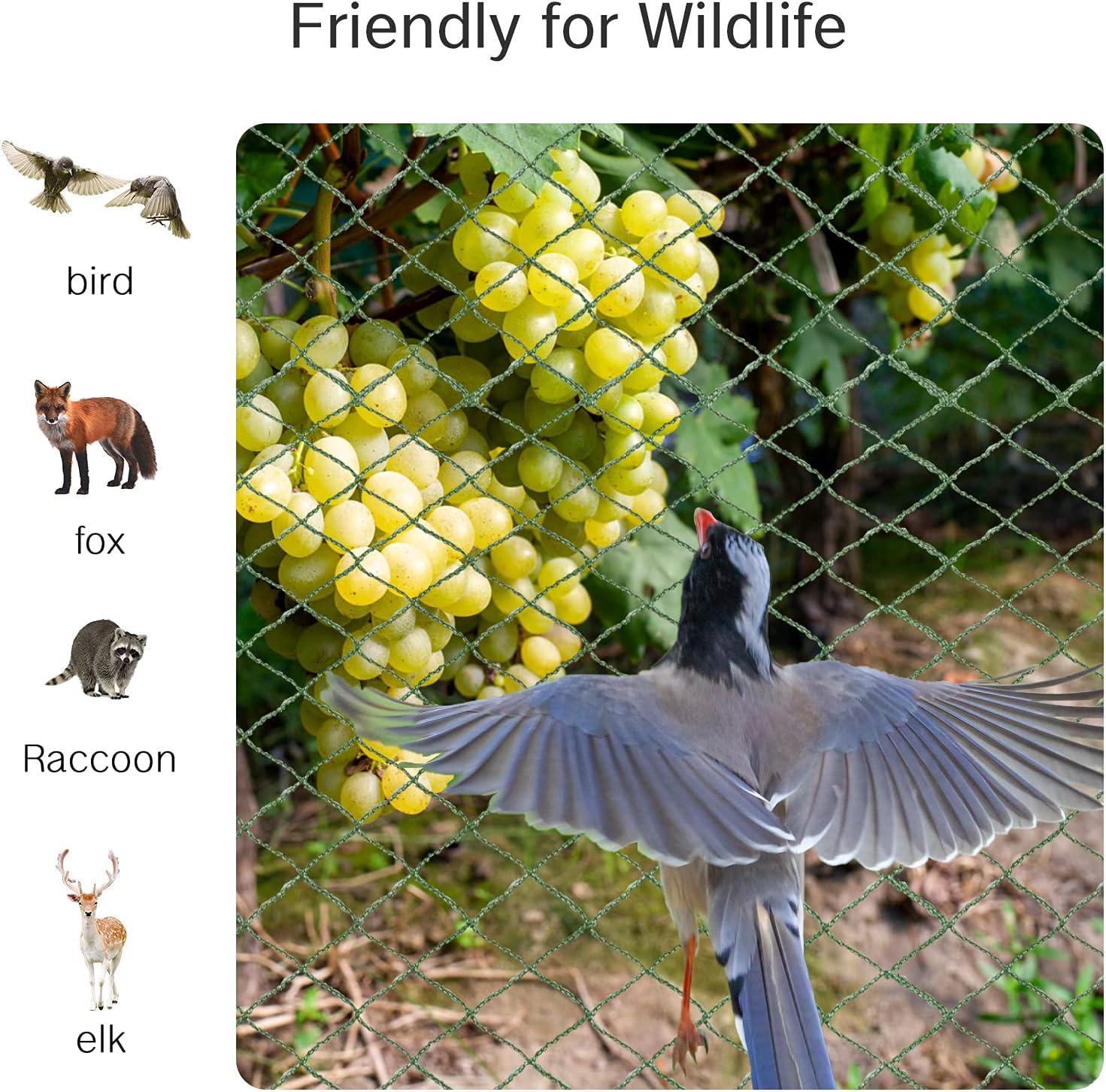 Anti Bird Netting for Garden Woven Mesh - Heavy Duty Protect Plants and Fruit Trees from Rodents Birds Deer Poultry