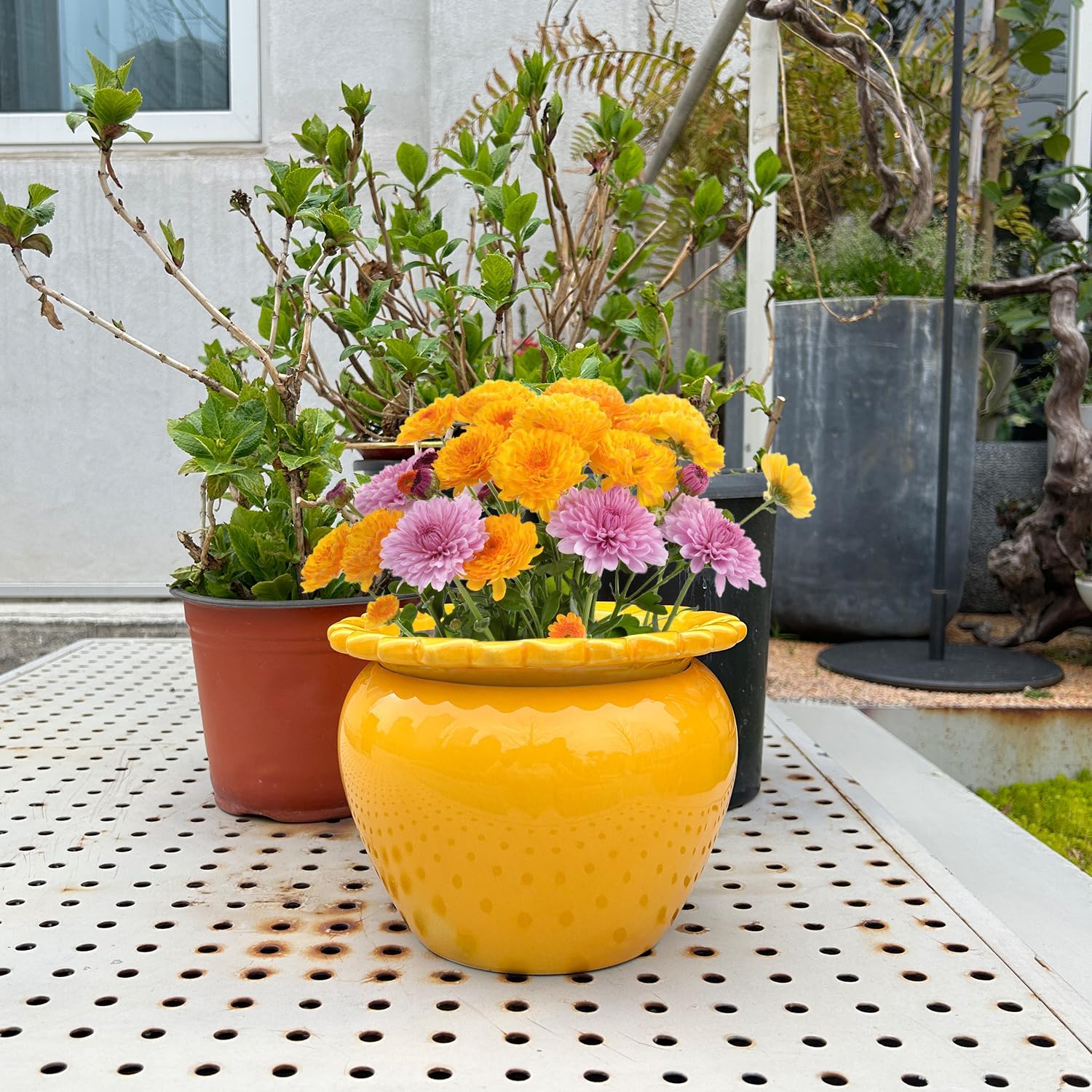 8in Self Watering Terracotta Planter - Yellow Ceramic Pot Maintenance Plant Seeder Planter for Indoor Plants African