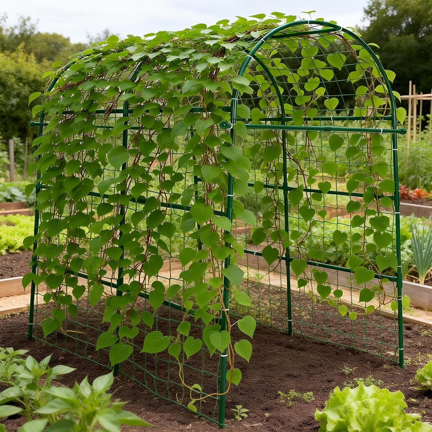 Garden Arch Trellis for Climbing Plants Outdoor - 83" H*71" W*43" L Large Rustproof Garden Trellis, Heavy Duty Grape
