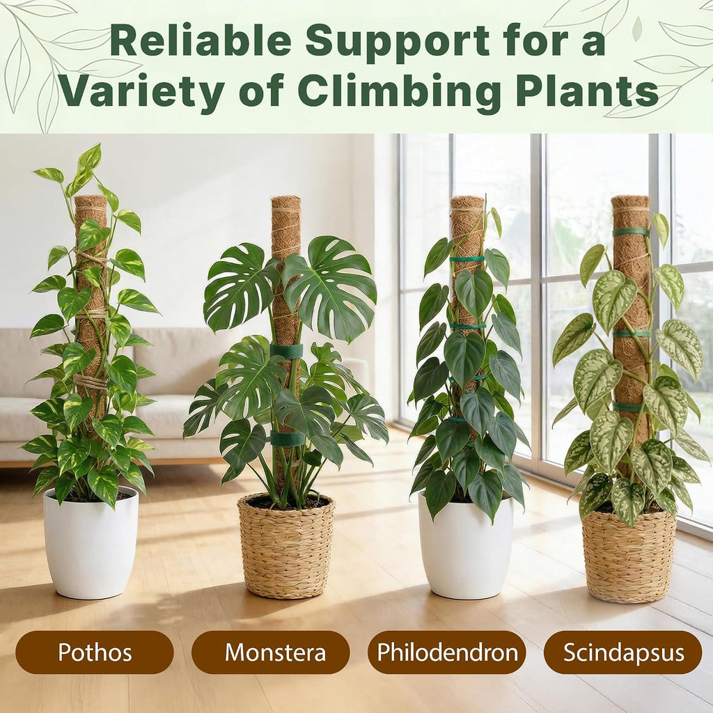 4 Pack 22" Moss Pole Monstera Plant Support - Stackable up to 70" - Plant Stakes for Indoor Climbing Plants Potted