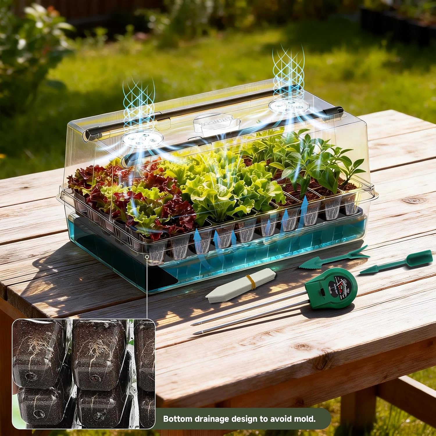 Adawook Self-Watering Seed Starter Tray with Grow Lights, Seed Starter Kit, Full Spectrum Grow Light for Seed Starting