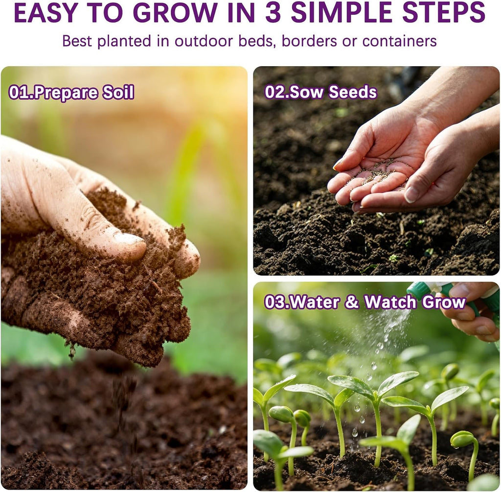 Wildflower Seeds Mix 1/2 lb, 19830+ Seeds Perennial& Annual 36 Varieties Flower Seeds for Planting，Non-GMO Heirloom