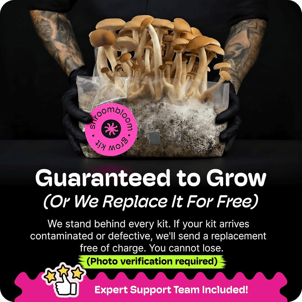 Mushroom Grow Kit – All-in-One 4LB Grow Bag with Self-Healing Port – Fast-Colonizing Universal Substrate for Any