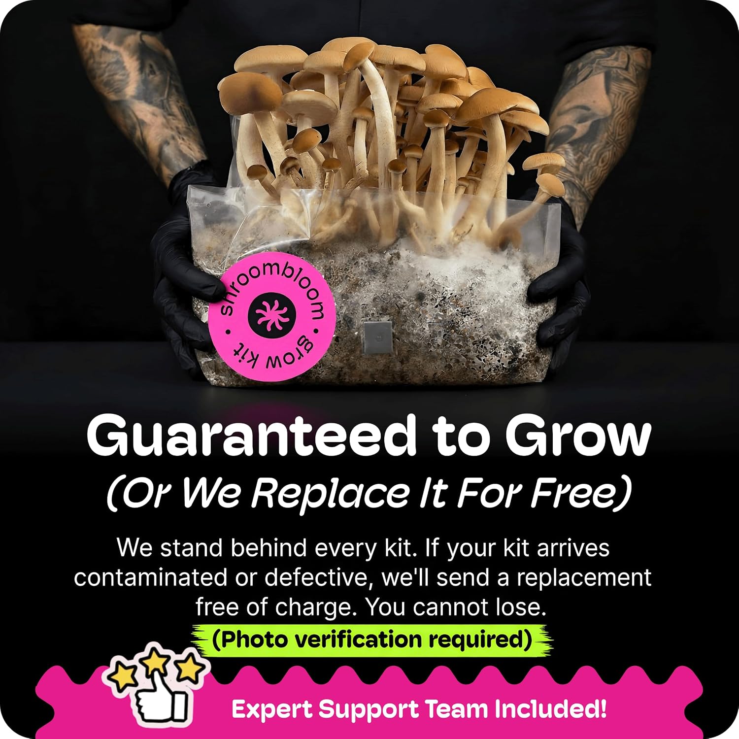Mushroom Grow Kit – All-in-One 4LB Grow Bag with Self-Healing Port – Fast-Colonizing Universal Substrate for Any