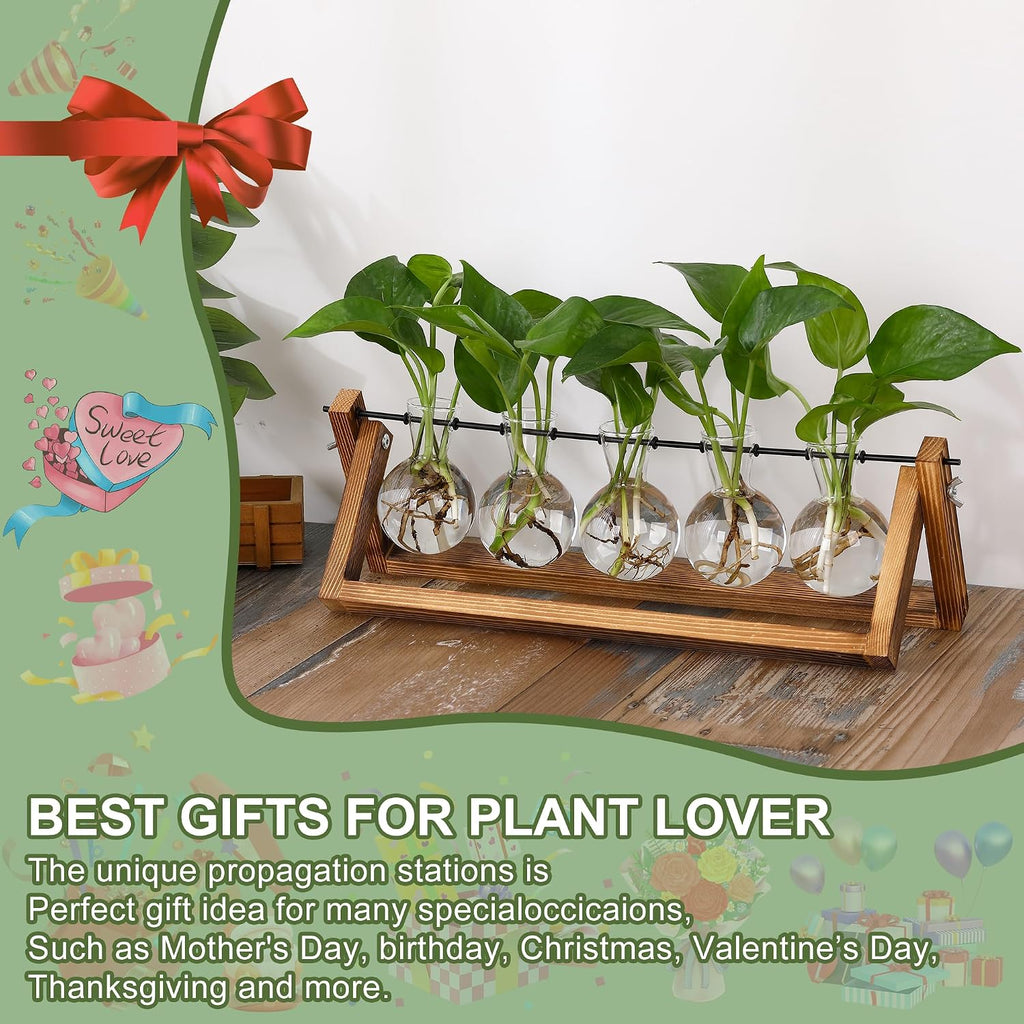 YIBOT Plant Propagation Stations with Wooden Stand & 5 Glass Bulb Vases | Tabletop Plant Terrarium for Propagating