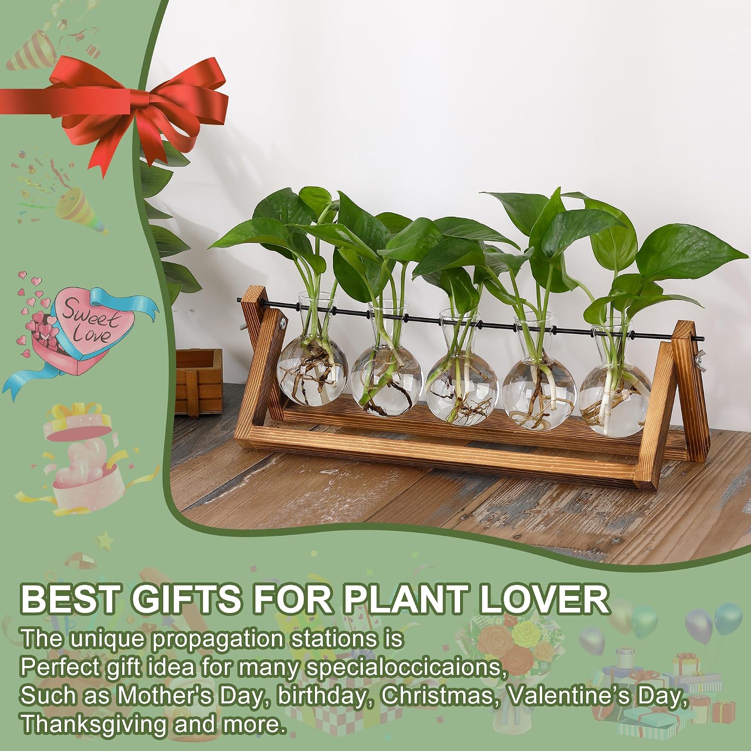 YIBOT Plant Propagation Stations with Wooden Stand & 5 Glass Bulb Vases | Tabletop Plant Terrarium for Propagating