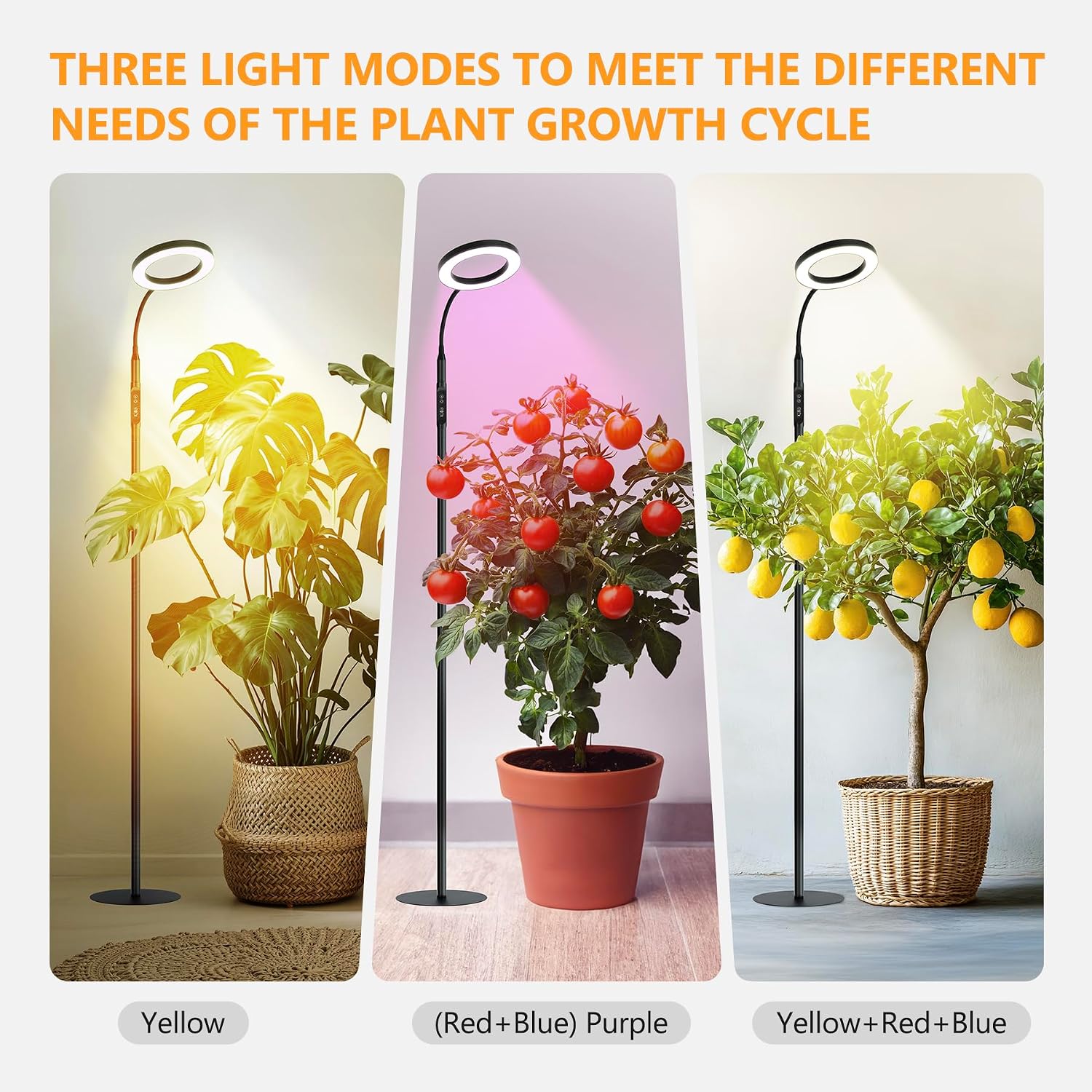 Grow Light Indoor Plants, 20W Full Spectrum Lamp, Height Adjustable Stand | 4/8/12H Auto Timer Setting,10 Dimmable