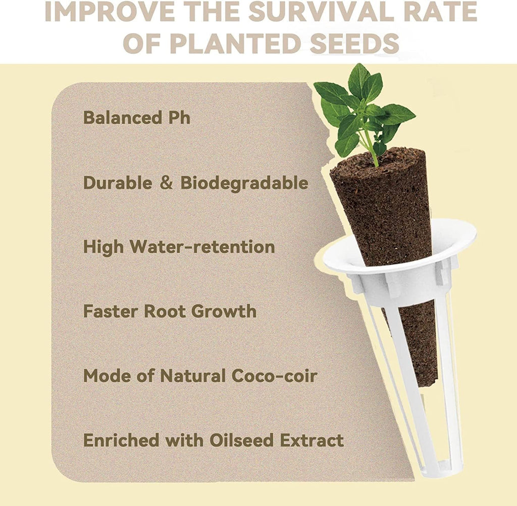 inbloom Salad Green Seed Pod Kit for Hydroponics Growing System, 12 Pods (350+ Seeds with American Fast/Paris