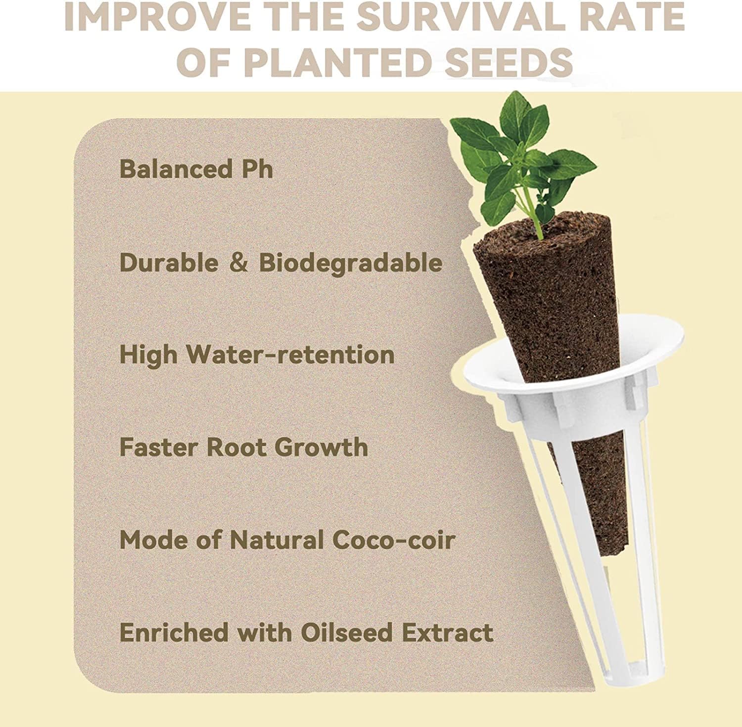 inbloom Salad Green Seed Pod Kit for Hydroponics Growing System, 12 Pods (350+ Seeds with American Fast/Paris