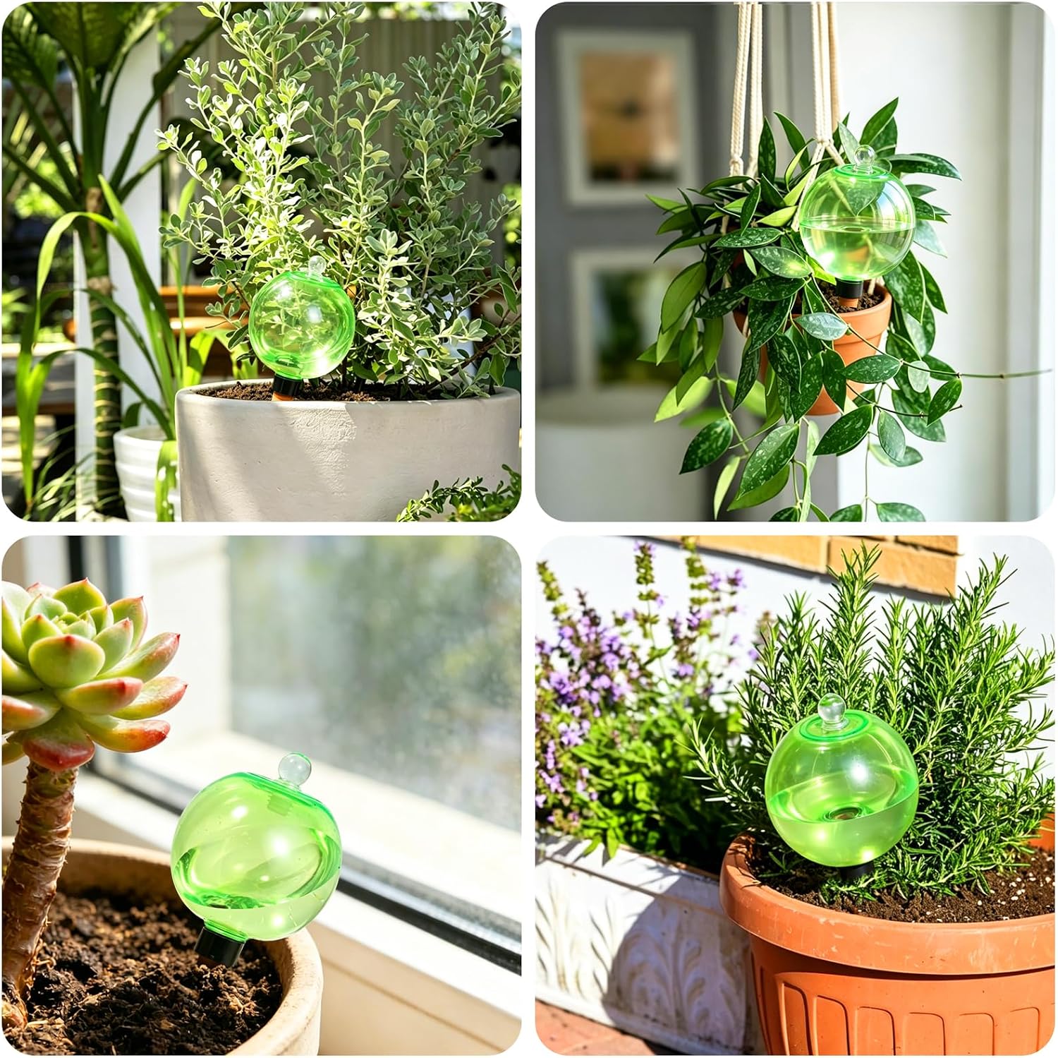 Self Watering Globes – Extra Large, 25.4 fl oz, Terracotta Spikes | Slow-release indoor/outdoor. 750ml (25.4 oz), lasts