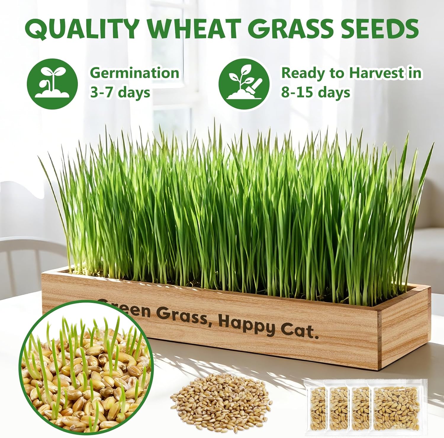 LUOJIBIE Cat Grass Kit for Indoor Cats, Cat Grass Seeds Set, Non-GMO Wheat Grass, Mothers Day Gifts for Mom, Unique