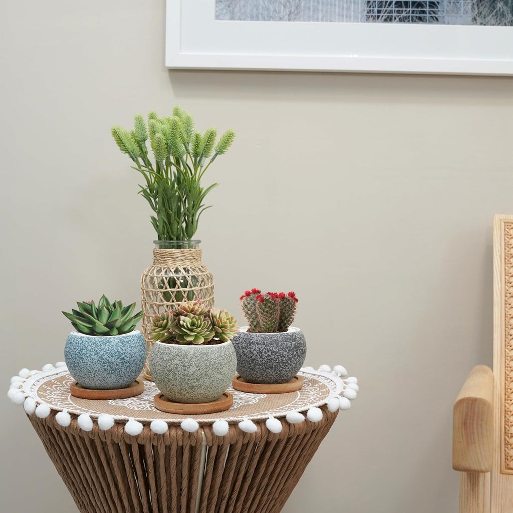 3 inch Ceramic pots for Plants, Small Succulent Pots Set with Drainage, 6 Pack Flower Pot for Indoor Plant, Planters
