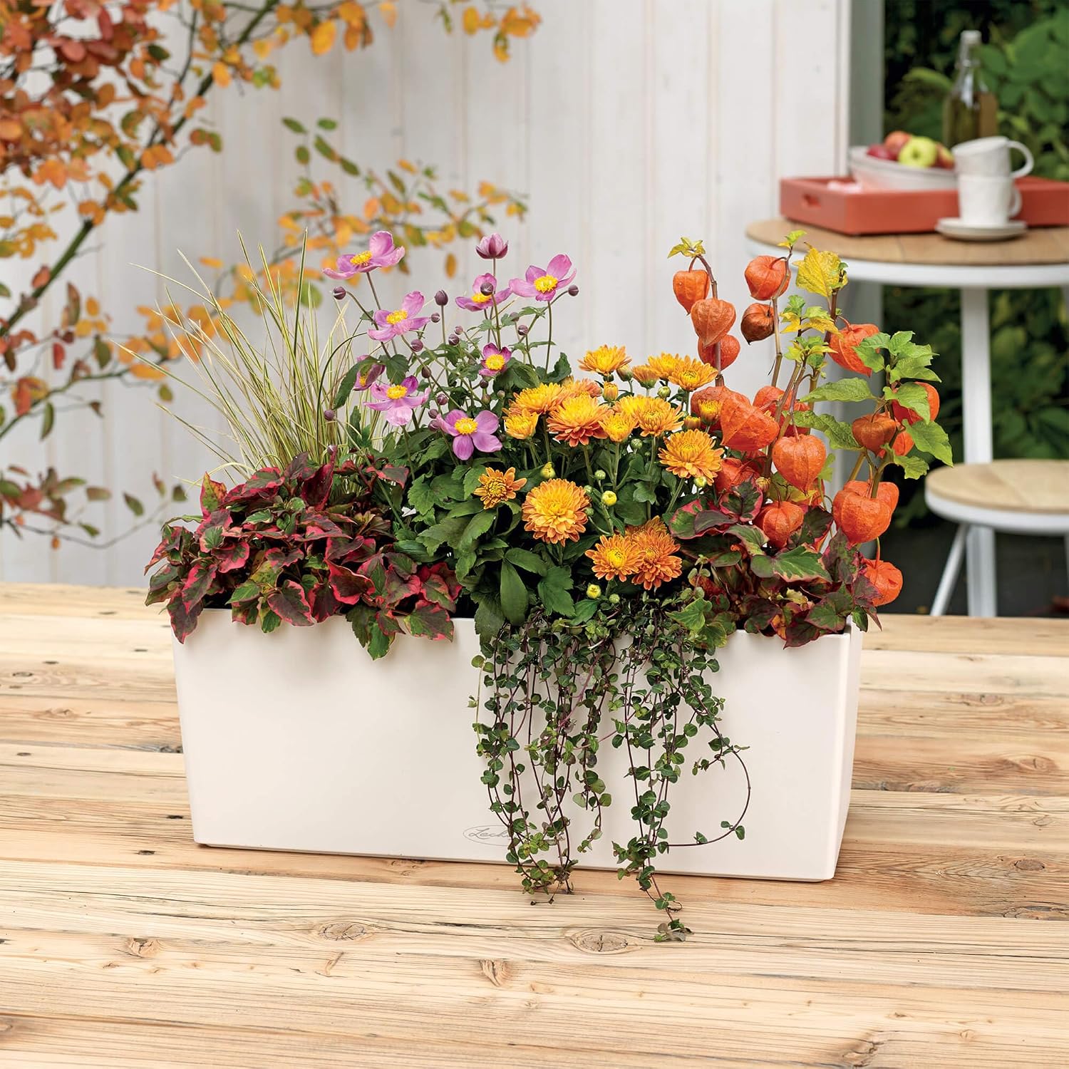Lechuza BALCONERA Color 50 White, Self-Watering Window Box (Railing Planter), H7.5 L19.7 W7.5 in
