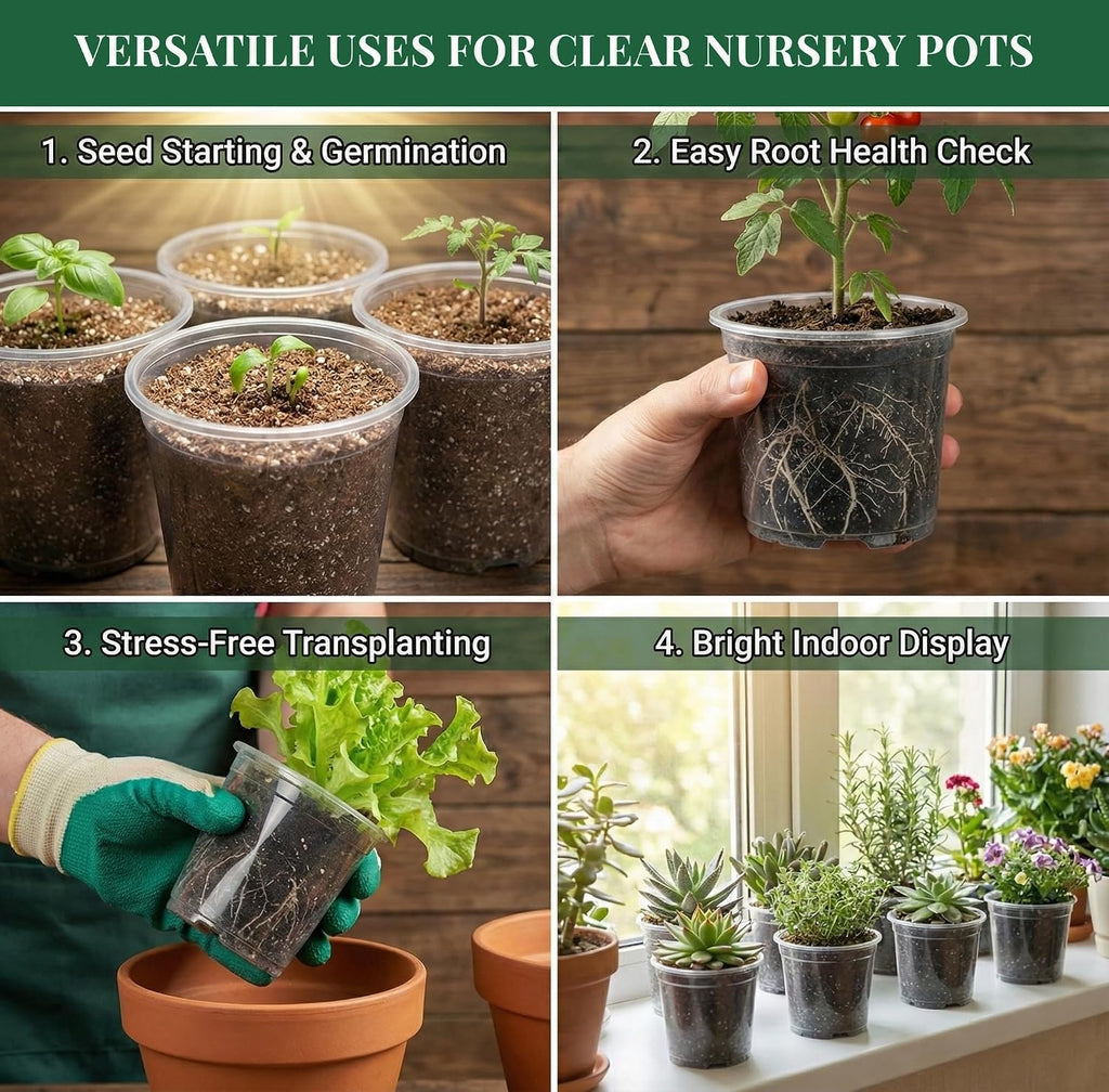 Clear Nursery Pots with Drainage, 81 Pcs Set, 4/5/6 Inch Plastic Pots for Indoor Plants, Seed Starter Kit with Plant