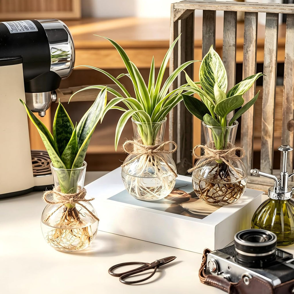 10 Pack Glass Plant Propagation Stations, Plant Terrarium Bulb Glass Propagation Vases with Hemp Rope, Clear