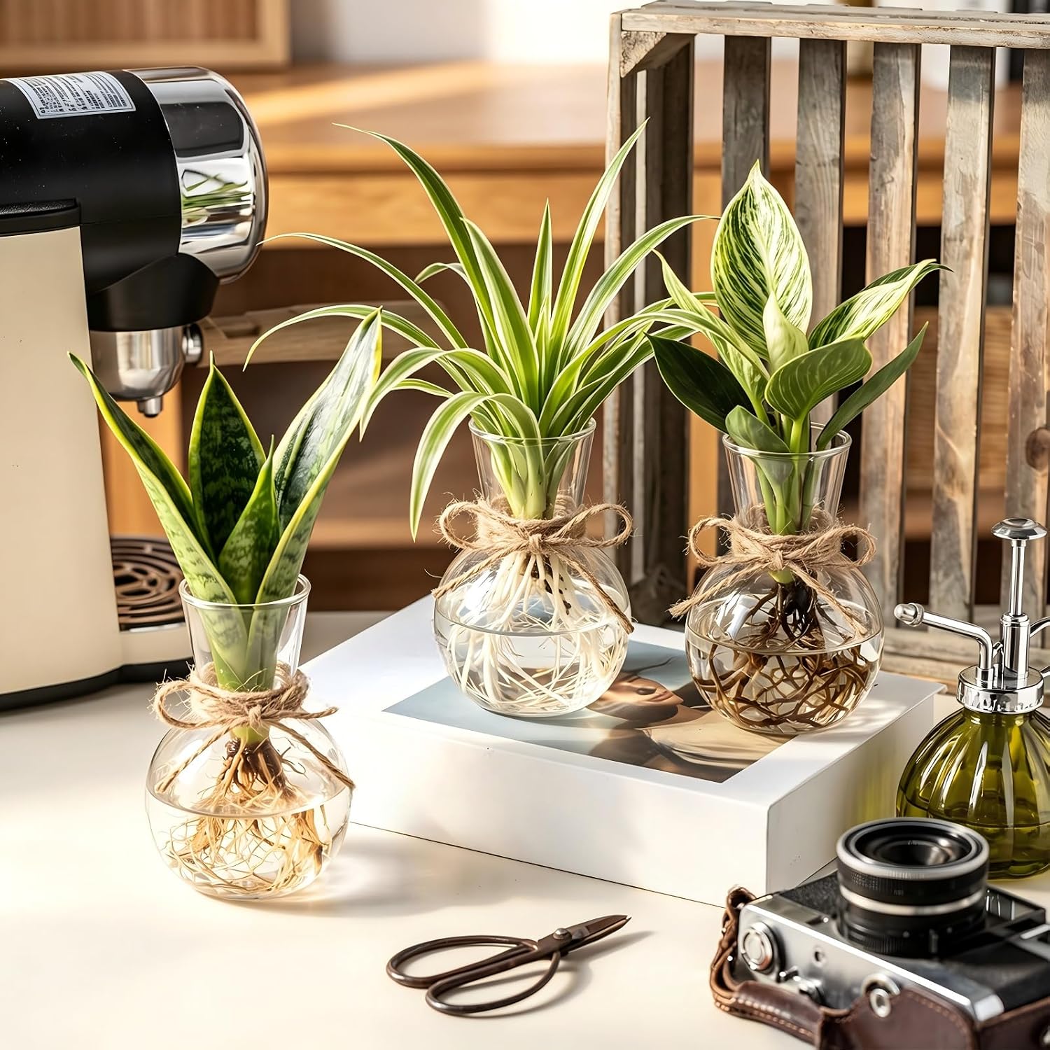 10 Pack Glass Plant Propagation Stations, Plant Terrarium Bulb Glass Propagation Vases with Hemp Rope, Clear