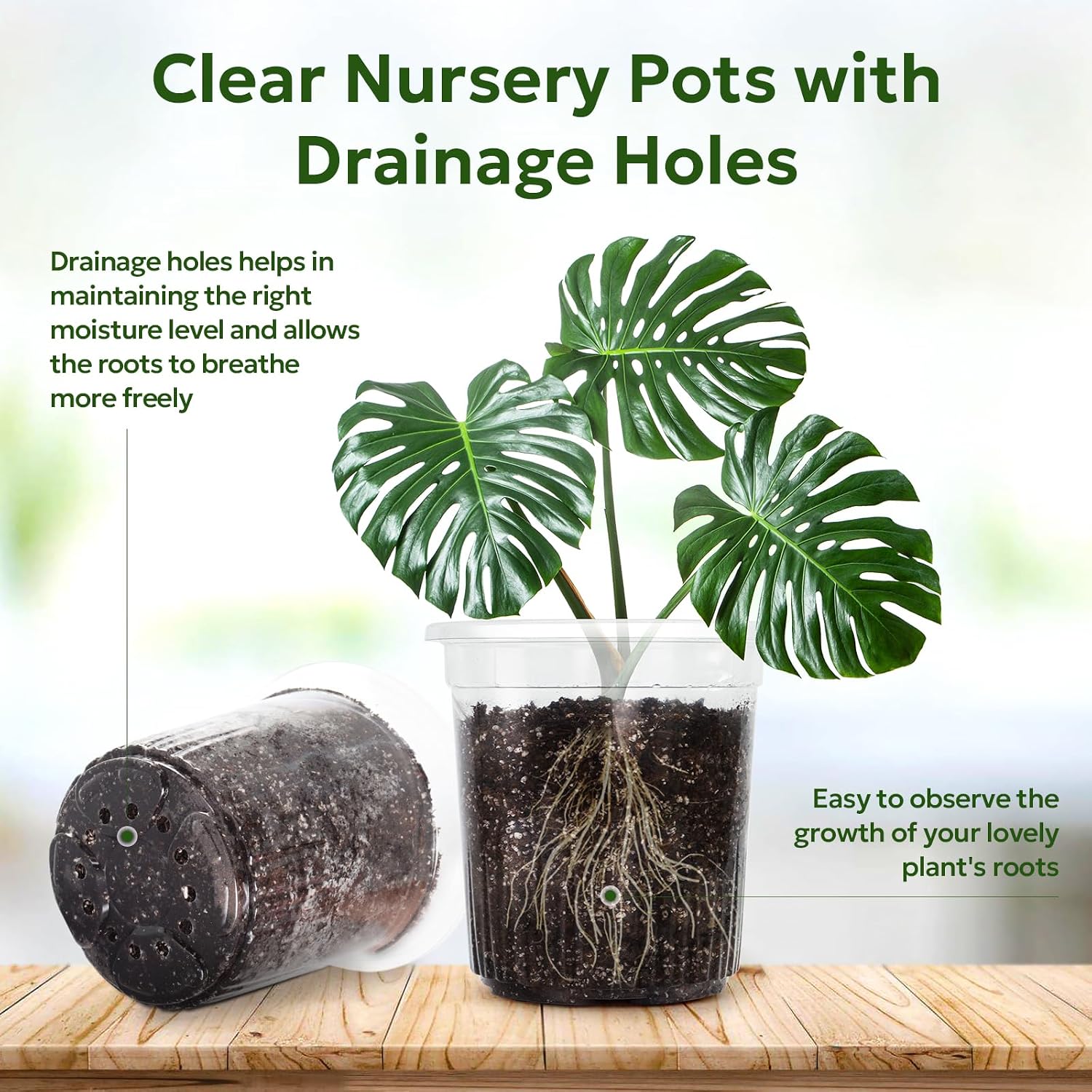 Bluepro Clear Nursery Pots with Drainage Holes, 7 Inch, 1 Gallon, 30-Pack | Clear PET, 1-Gallon Capacity, Root and