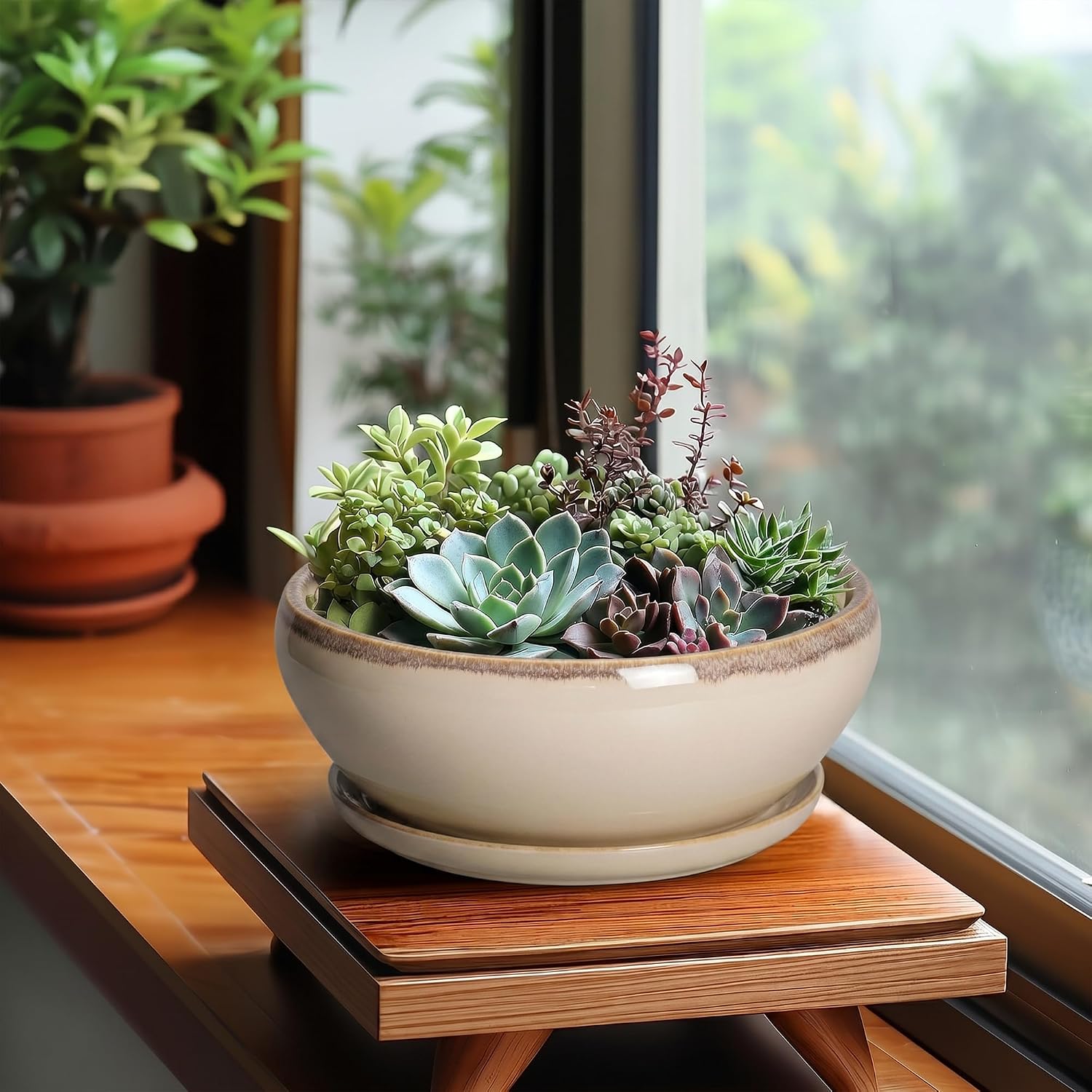 SQOWL Succulent Pots 8 Inch - Ceramic Bonsai Pots for Indoor Plants, Round Shallow Plant Pot with Drainage Hole and
