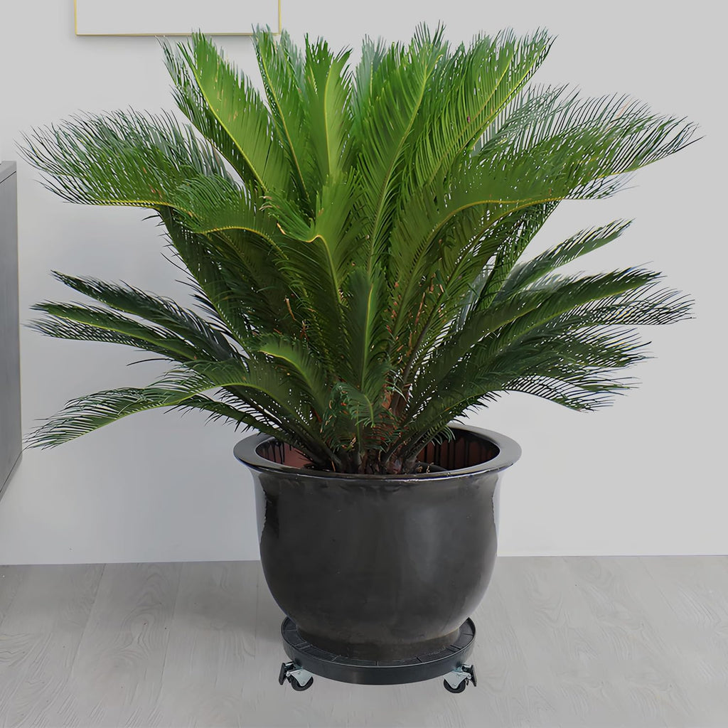 20 Inch Heavy Duty Plant Caddy With 360°Lockable Wheels,600 Lbs Capacity,Outdoor Indoor Rolling Plant Stand With