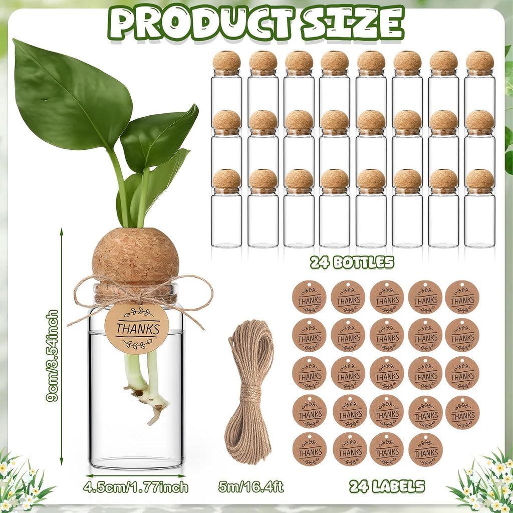 24 Pack 3.54'' Plant Propagation Stations 4 oz Glass Propagation Jars Planter Hydroponic Vase with Mushroom Hole Lid