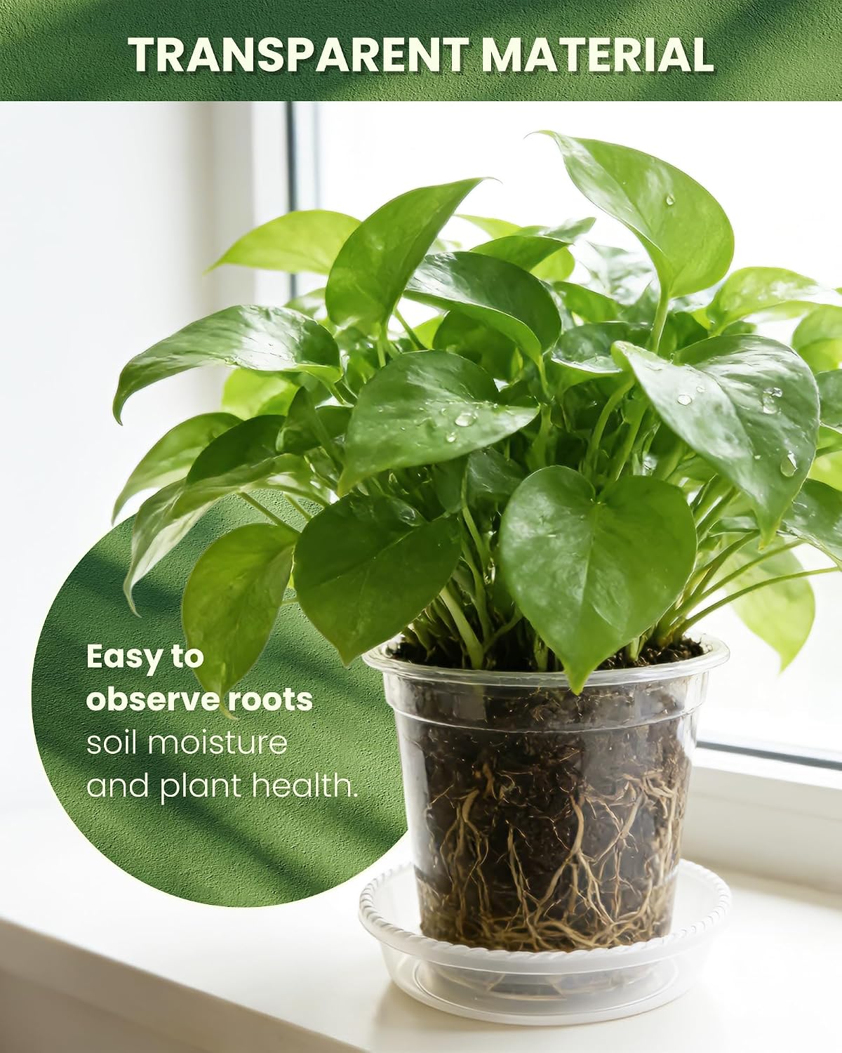 24 Pcs 7/6/5/4 In Clear Nursery Pots for Plants with Saucers, 24 Labels | High Transparency (Clear View of Root