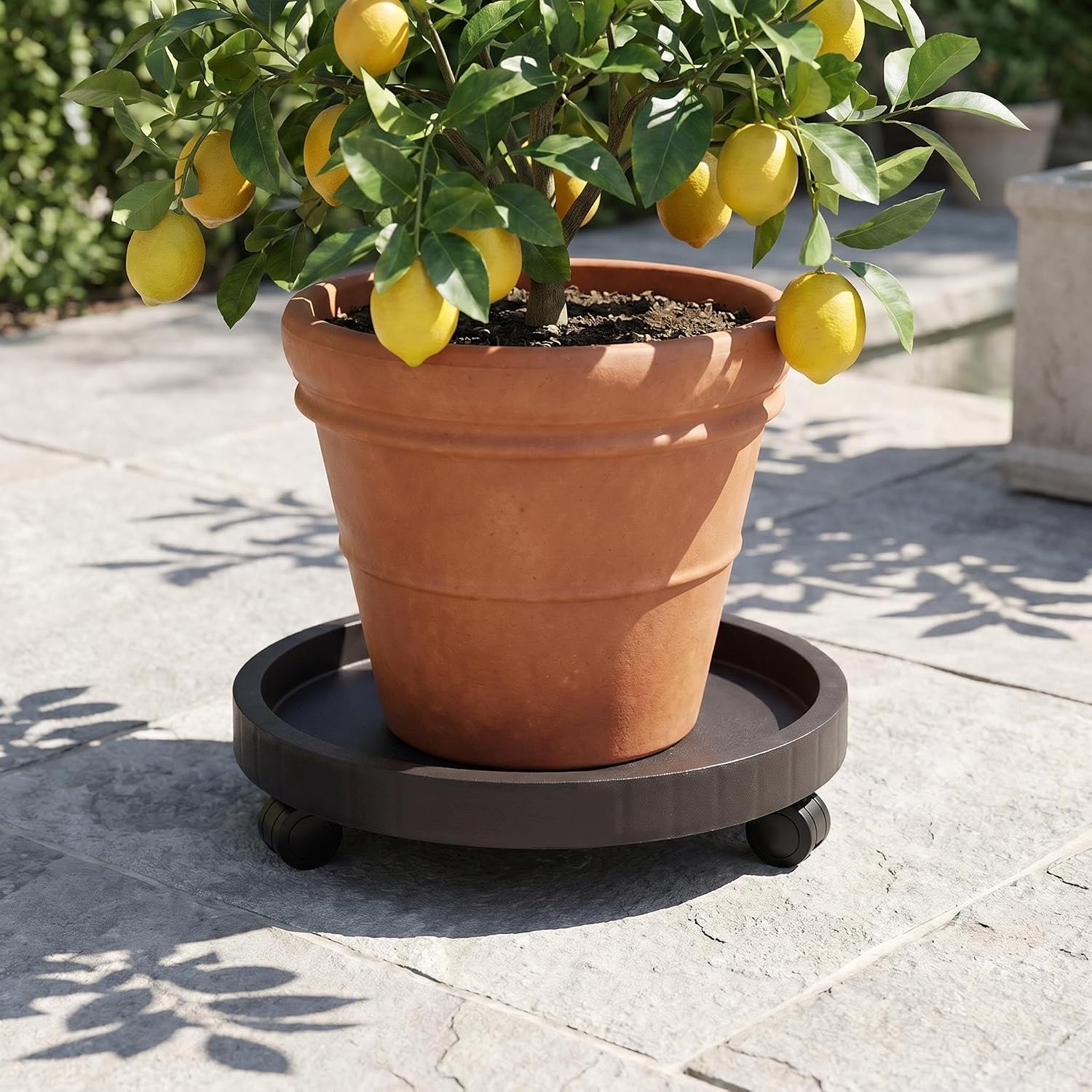 2 Pack of 12.6 Inch Planter Caddies Rolling Saucer Caddy with Wheels, Heavy Duty Wheeled Stand for Potted Plant, Round