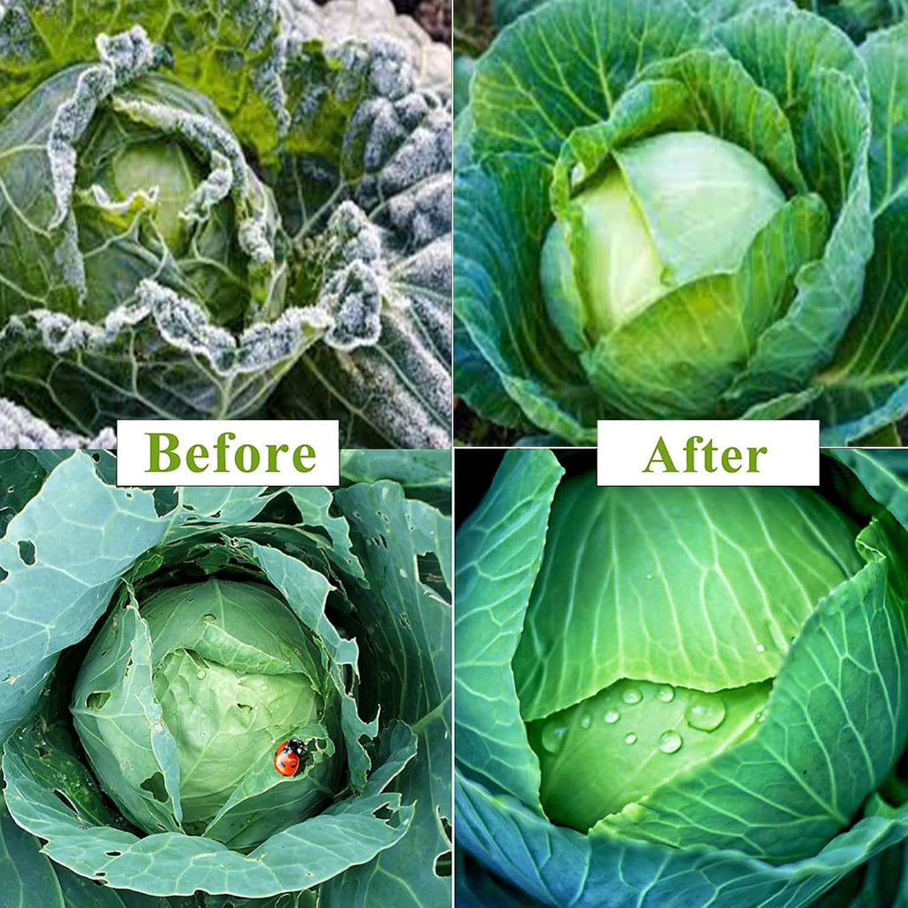 Plant Covers Freeze Protection Kit, 10 x 30Ft Frost Cloth and 6Pcs Fiberglass Garden Hoops 1oz/yd² Floating Row Cover
