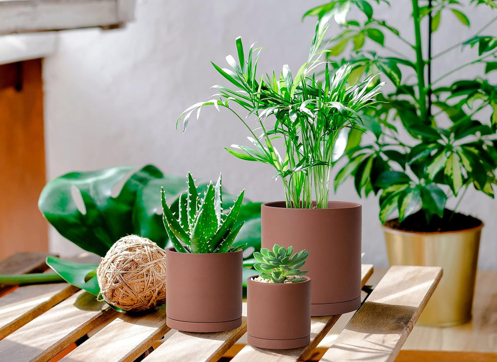 D'vine Dev 3-Pack Rust Terracotta Pots & Saucers, 4/5/6 in, 40-T-A-3 | Cylinder Shape, Timeless Style, Unglazed