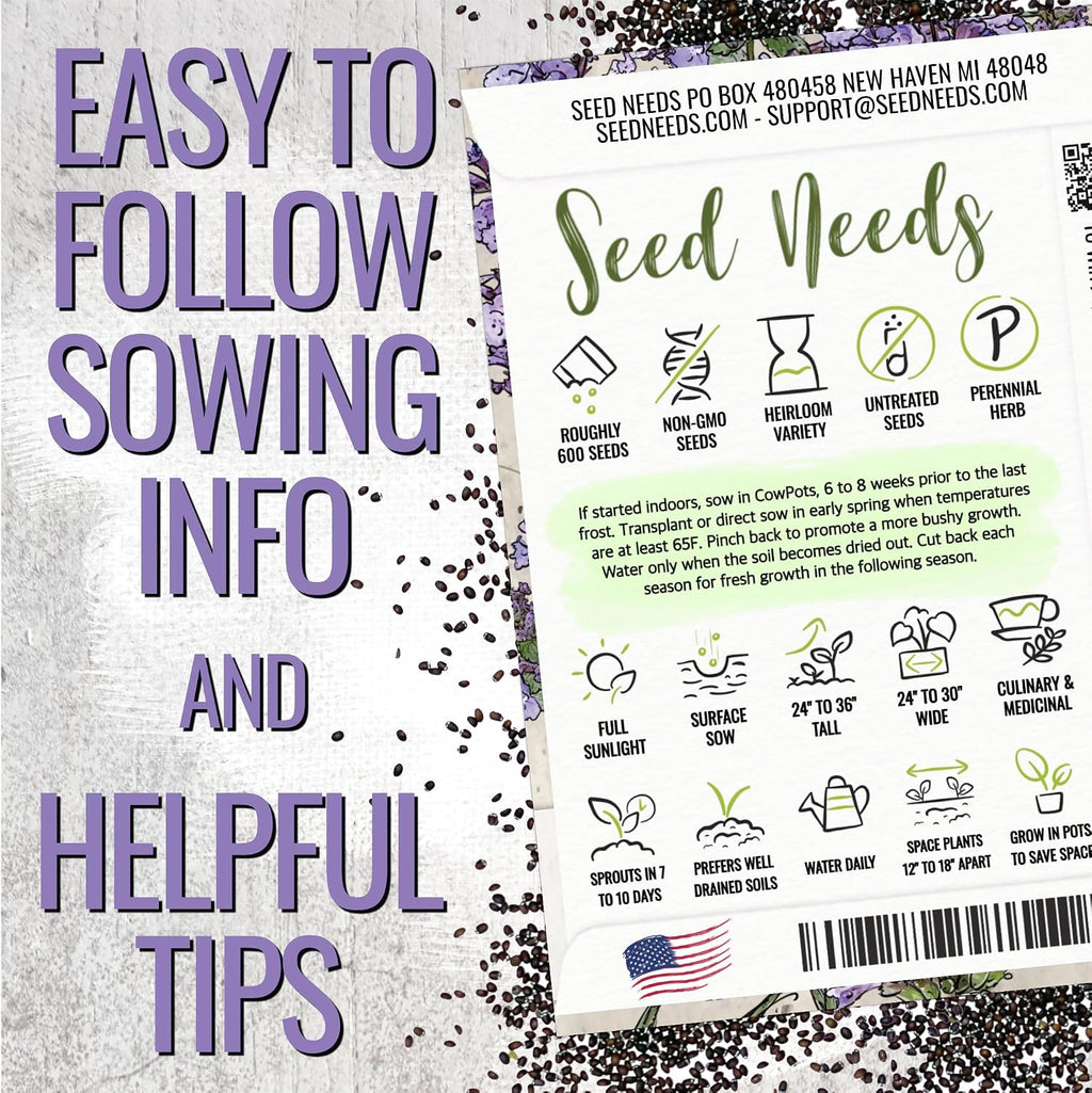 Seed Needs Catmint Seeds to Plant Heirloom Non-GMO Herbs 20 Pack