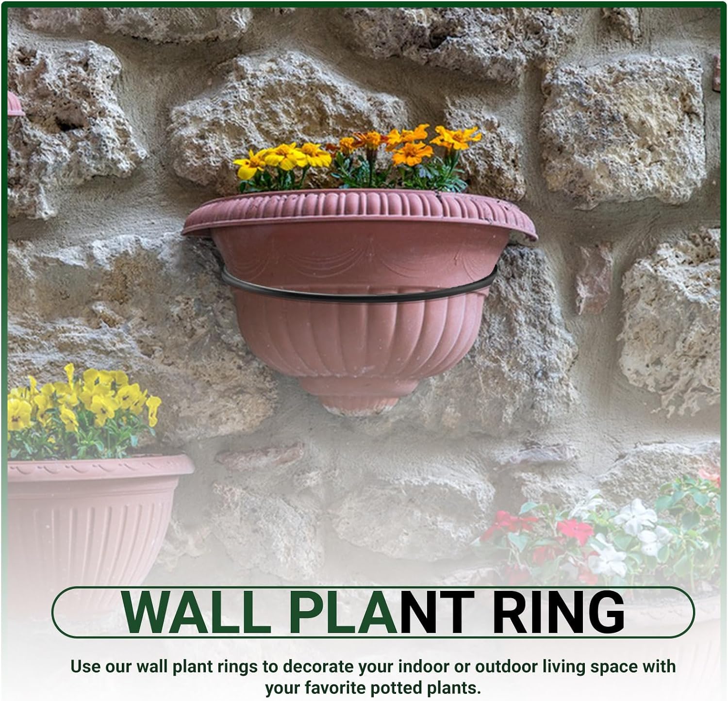 8 Pack 8 Inch Flower Pot Holder Ring Wall Mounted, Steel Plant Wall Hanger, Outdoors & Indoors Hanging Brackets, Fits