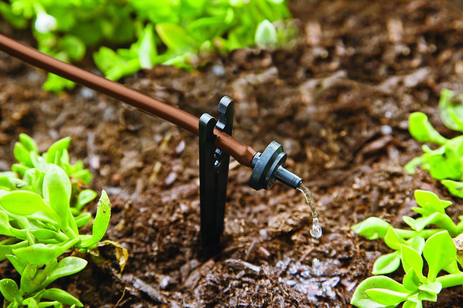 Raindrip SDFSTH1P Automatic Drip Irrigation Watering Kit with Timer for Flowers, Shrubs, and Trees, Waters up to 10