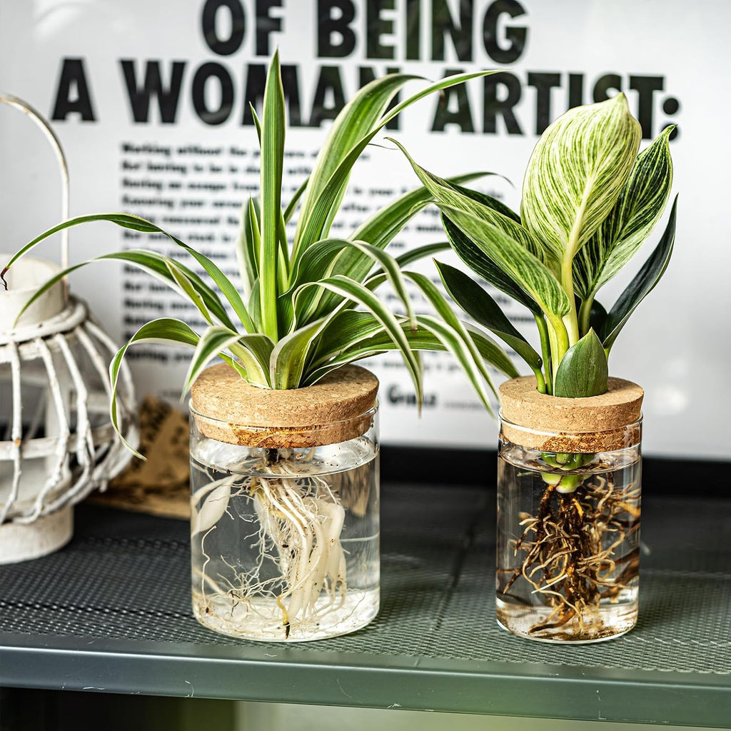 Glass Plant Propagation Stations for Plants – Set of 12(6 Large & 6 Small) Hydroponic Vases for Plant Cuttings,Flower