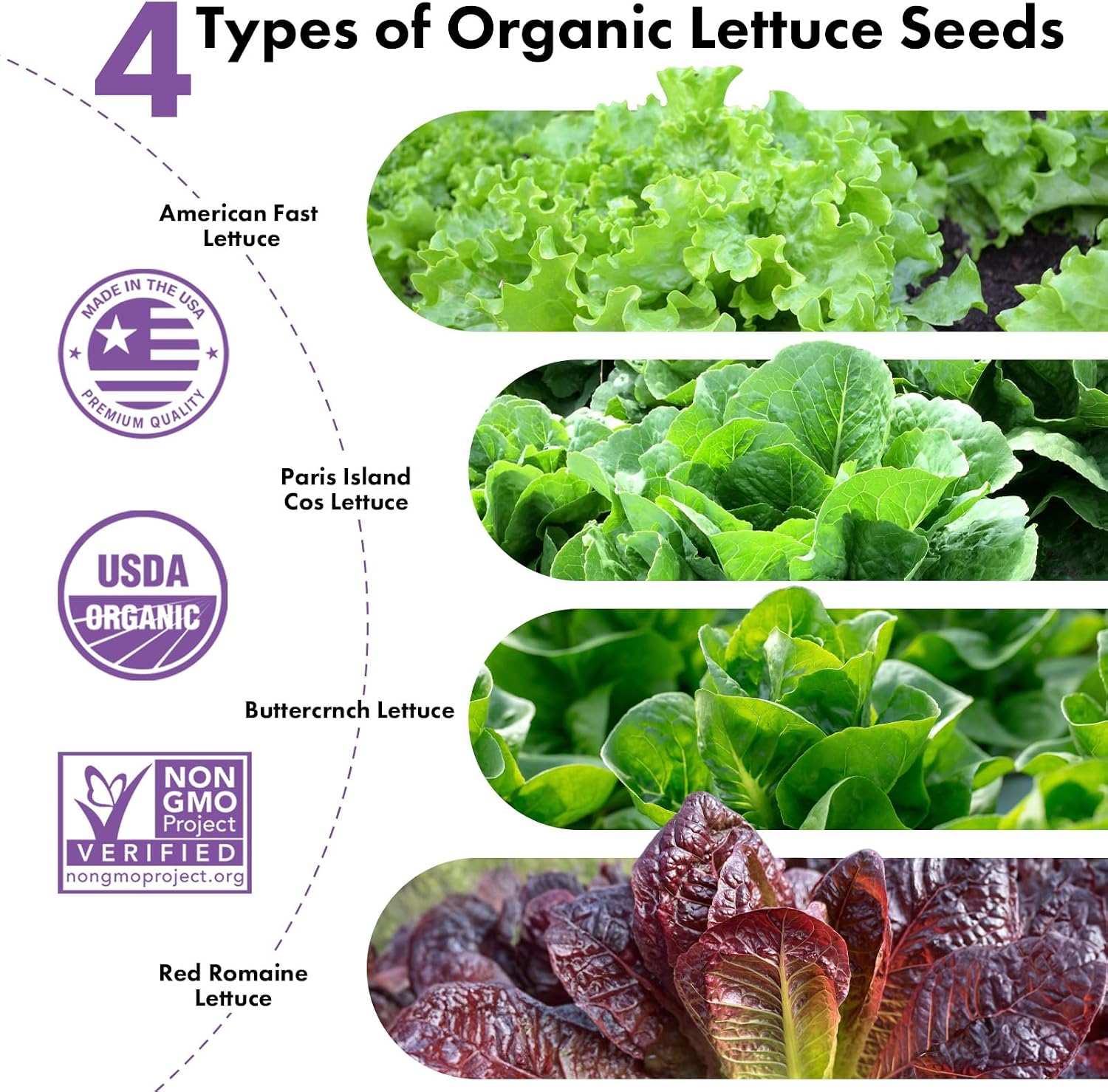 LYKOCLEAN Salad Romaine Lettuce Seed Pods for AeroGarden,Ahopegarden, iDOO Hydroponics Growing System,350 Seeds+