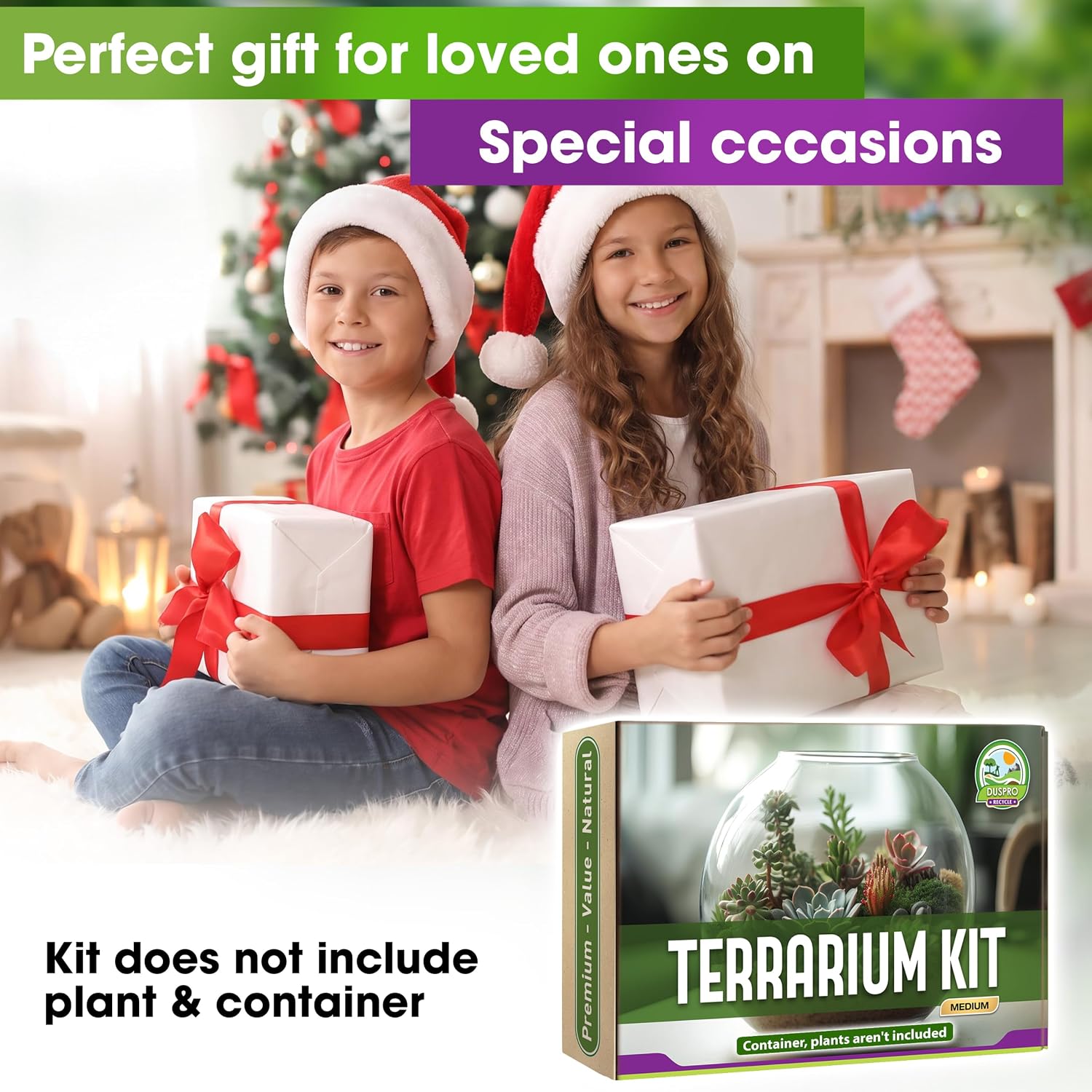 All-in-One DIY Terrarium Starter Kit for Air Plant & Succulent | Includes Potting Soil, Pumice, Zeolite, Green Moss