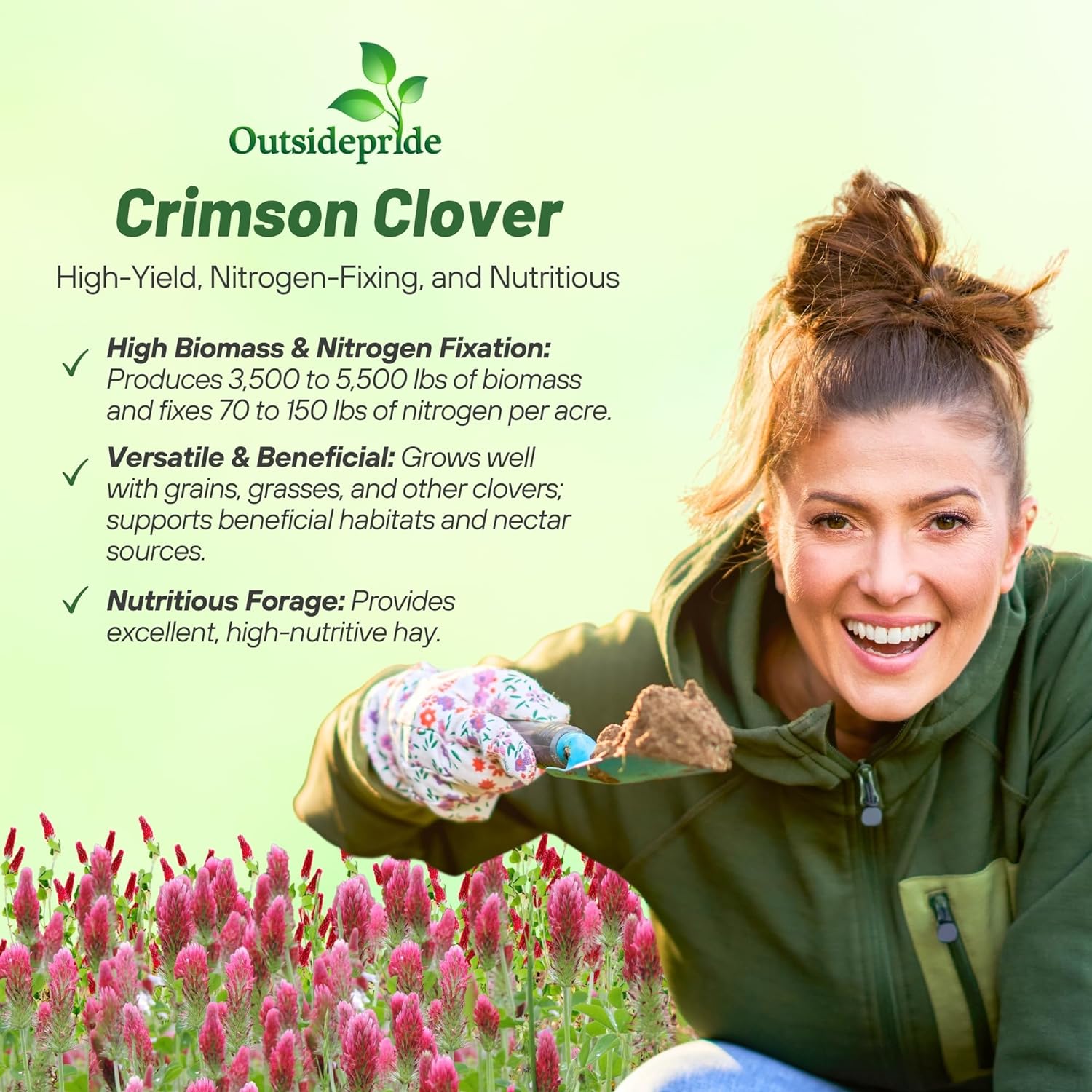 Outsidepride Crimson Clover Seeds - 5 lbs. Annual, Nitrocoated, & Inoculated Ground Cover Seeds, Ideal for Lawn, Cover