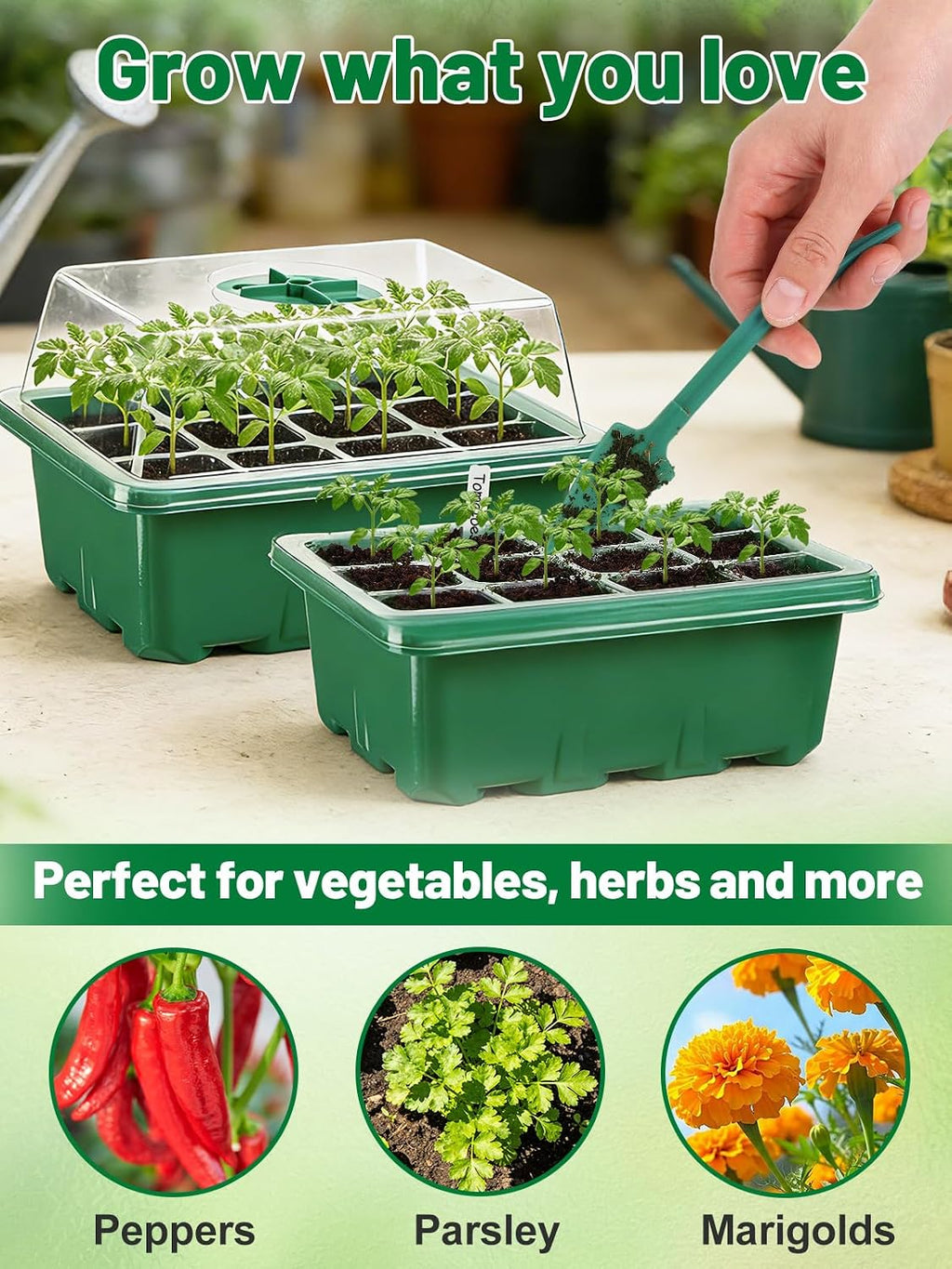 Apipi 5 Pack Seed Starter Kit with 60 Coco Coir Pellets | 60 Cell Seed Starter Trays with Domes, for Indoor Greenhouse
