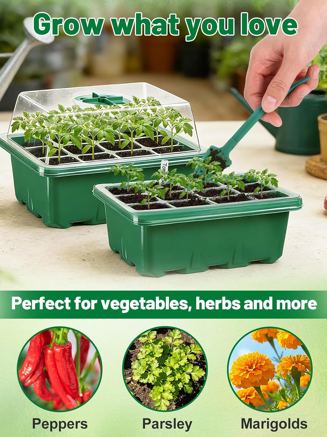 Apipi 5 Pack Seed Starter Kit with 60 Coco Coir Pellets | 60 Cell Seed Starter Trays with Domes, for Indoor Greenhouse