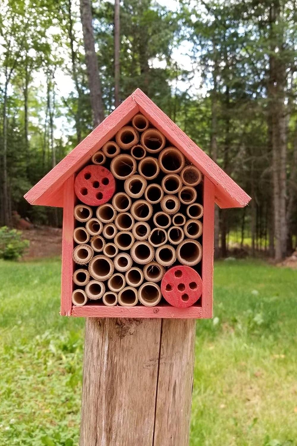 Cestari Mason Bee House Bamboo Tube Solitary Bee Hotel – 75 FSC‑Wood & Bamboo Tubes, 8 × 7.5 × 5 in, Rose Pink
