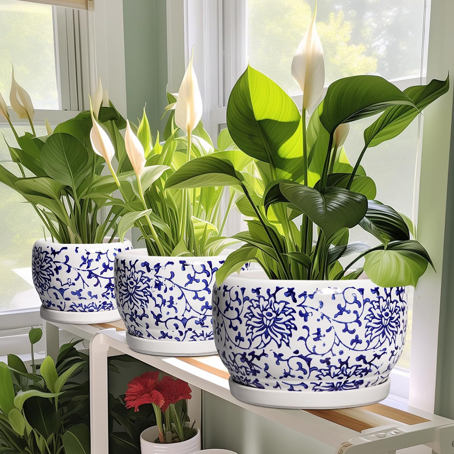SQOWL 6 Inch Planter - Ceramic Plant Pots Indoor with Drainage Hole and Saucer, Round Ceramic Flower Pot Outdoor
