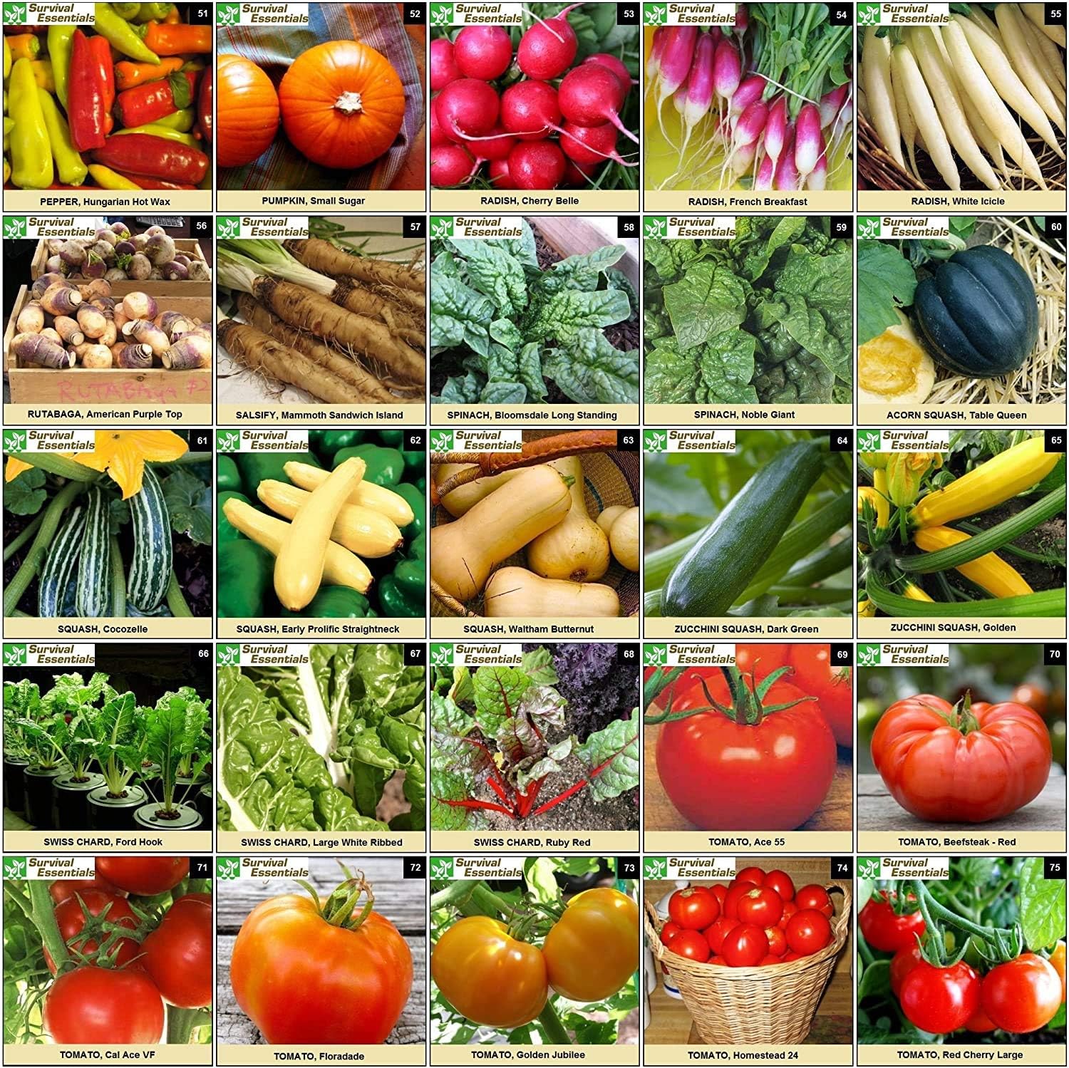 Garden Heirloom Seed Vault, 100 Variety, Over 17,500 Vegetable, Fruit, and Herbs Seeds, Non-GMO, Non-Hybrid, Plus Free
