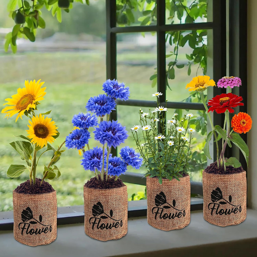 Indoor Daisy Garden Starter Kit, 4 Flower Seeds Growing into Shasta Daisy, Cornflower, Sunflower, Zinnia, Including