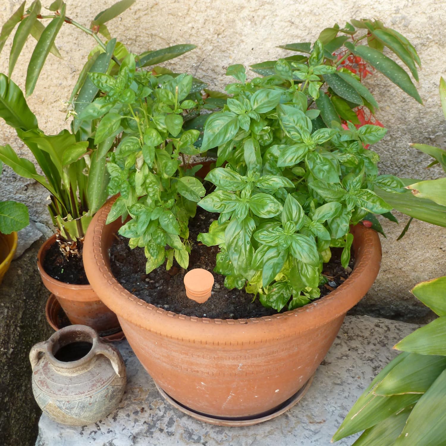 3pcs Terracotta Plant Watering Globes 3.5 * 10inch Terracotta Watering Pots Self Watering Planter 900ml for Indoor