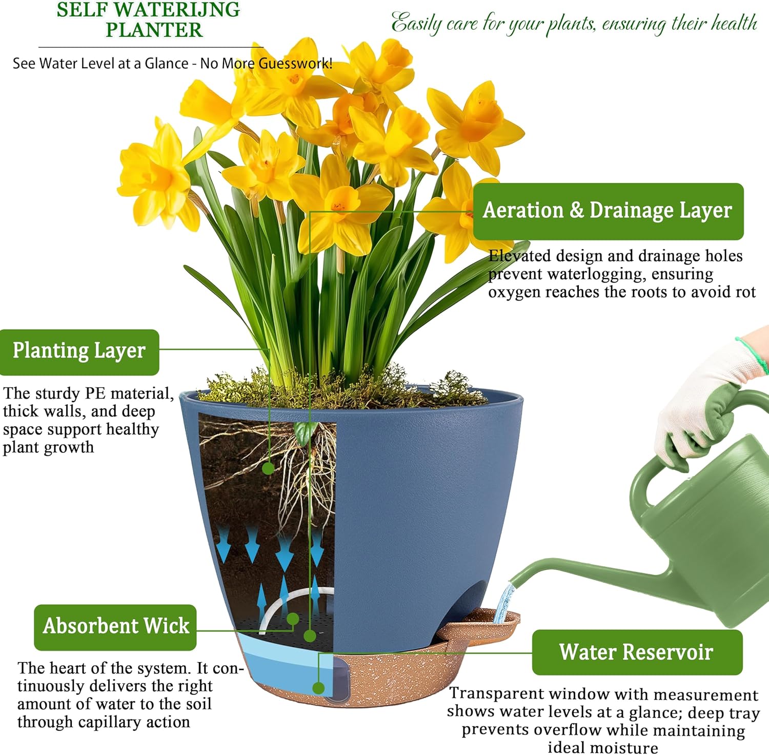 Self Watering Pots for Inoor Ourdoor Plants 8/7/6.5/6/5" Plastic Planters | Drainage Holes & Water Level Indicator