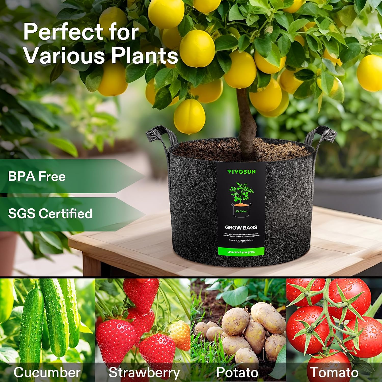 VIVOSUN 5-Pack 20 Gallon Plant Grow Bags Fabric Pots with Handles | 300G Thickened Nonwoven Fabric, Excellent Drainage