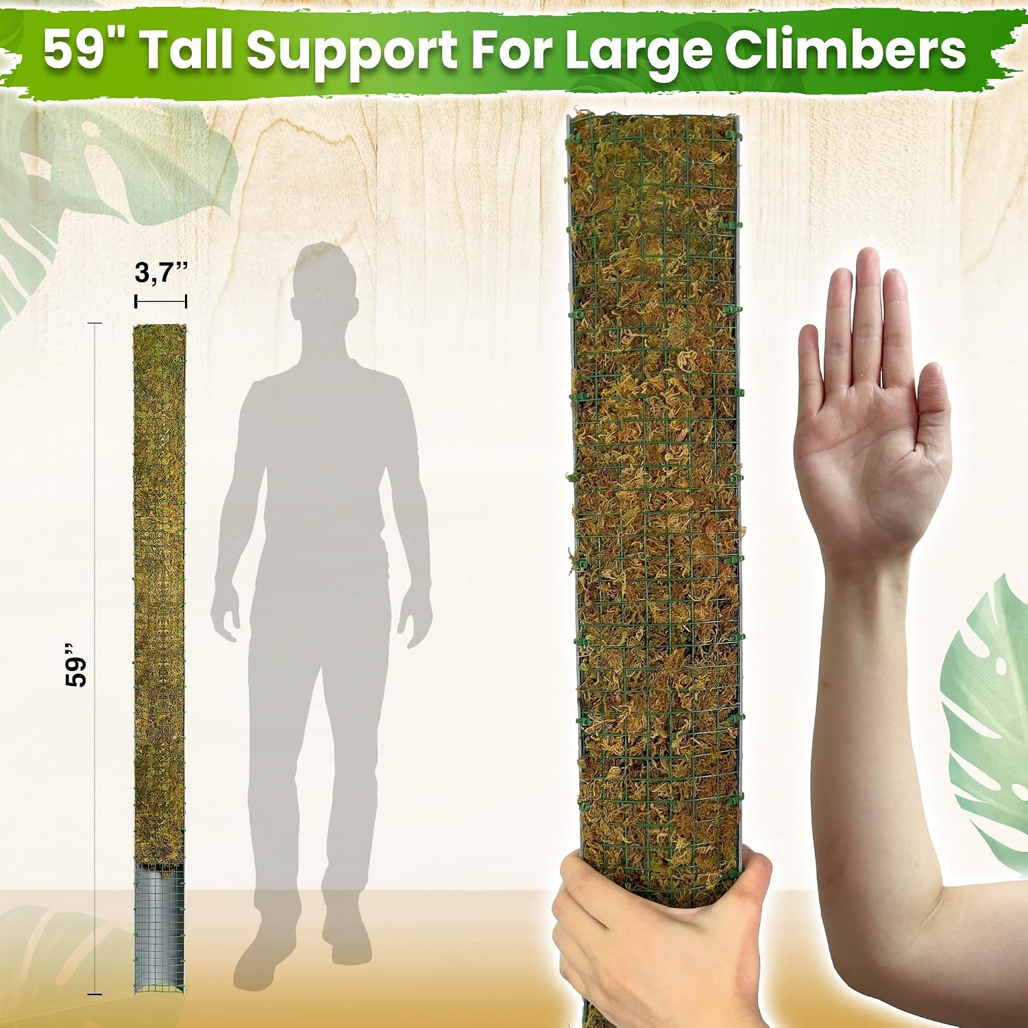 59" Large D-Shape Moss Pole for Big Climbing Plants, (1pc, 59'') | Rigid Support for Mature Plants with Heavy Stems