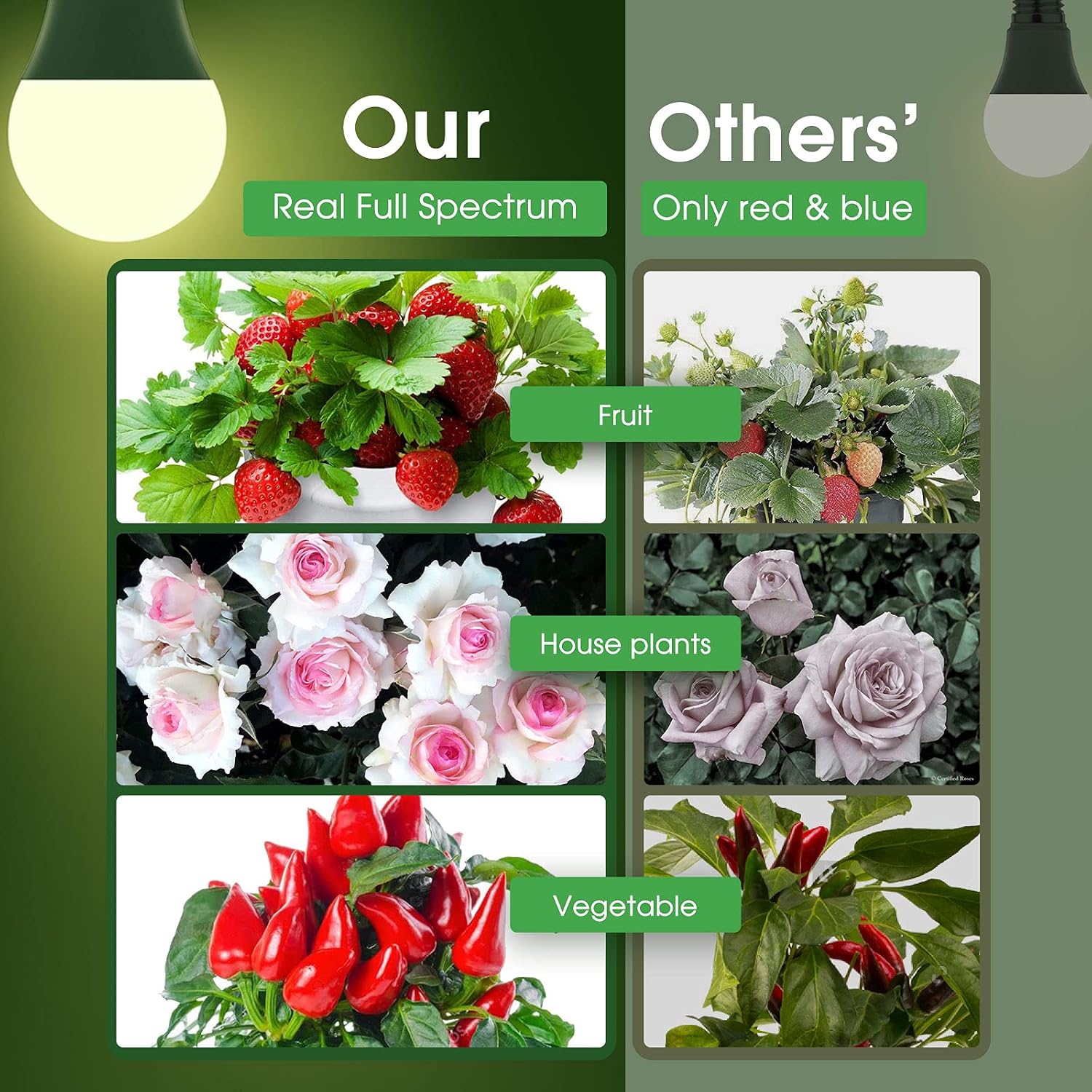 Grow Light Bulbs, LED Grow Light Bulb A19 Bulb, Full Spectrum | Grow Light Bulb, Plant Light Bulbs E26, 11W Grow Bulb