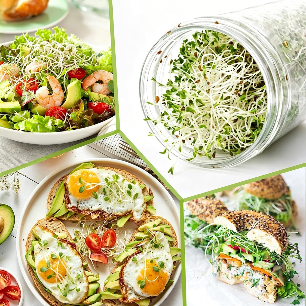 Sprouting Kit, 2 Wide Mouth Sprouting Jar with Stainless Steel Screen Sprout Lids, Blackout Sleeves, Drain Cover