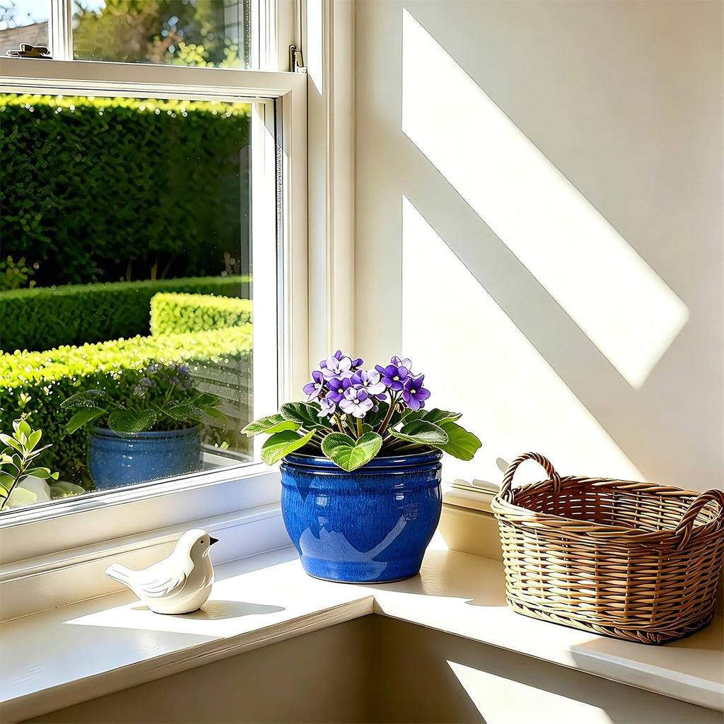 Self Watering Pot for African Violets Indoor Outdoor Plants, 6 inch, Blue | Bottom Watering, Ceramic