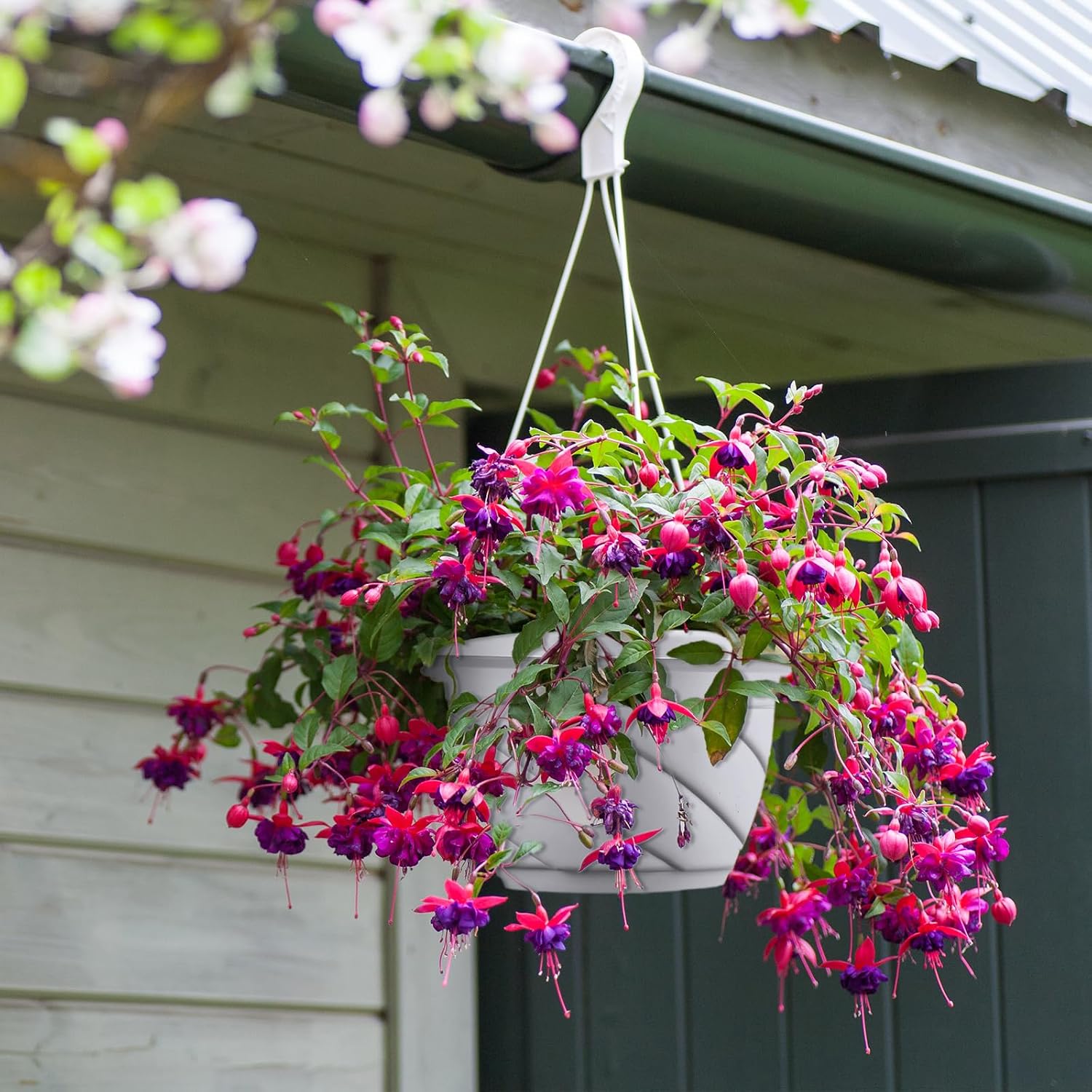 Tioncy 50 Pcs Plastic Hanging Planter Round Hanging Pot for Plants Containers with Hook Flower Plant Pots Holders for